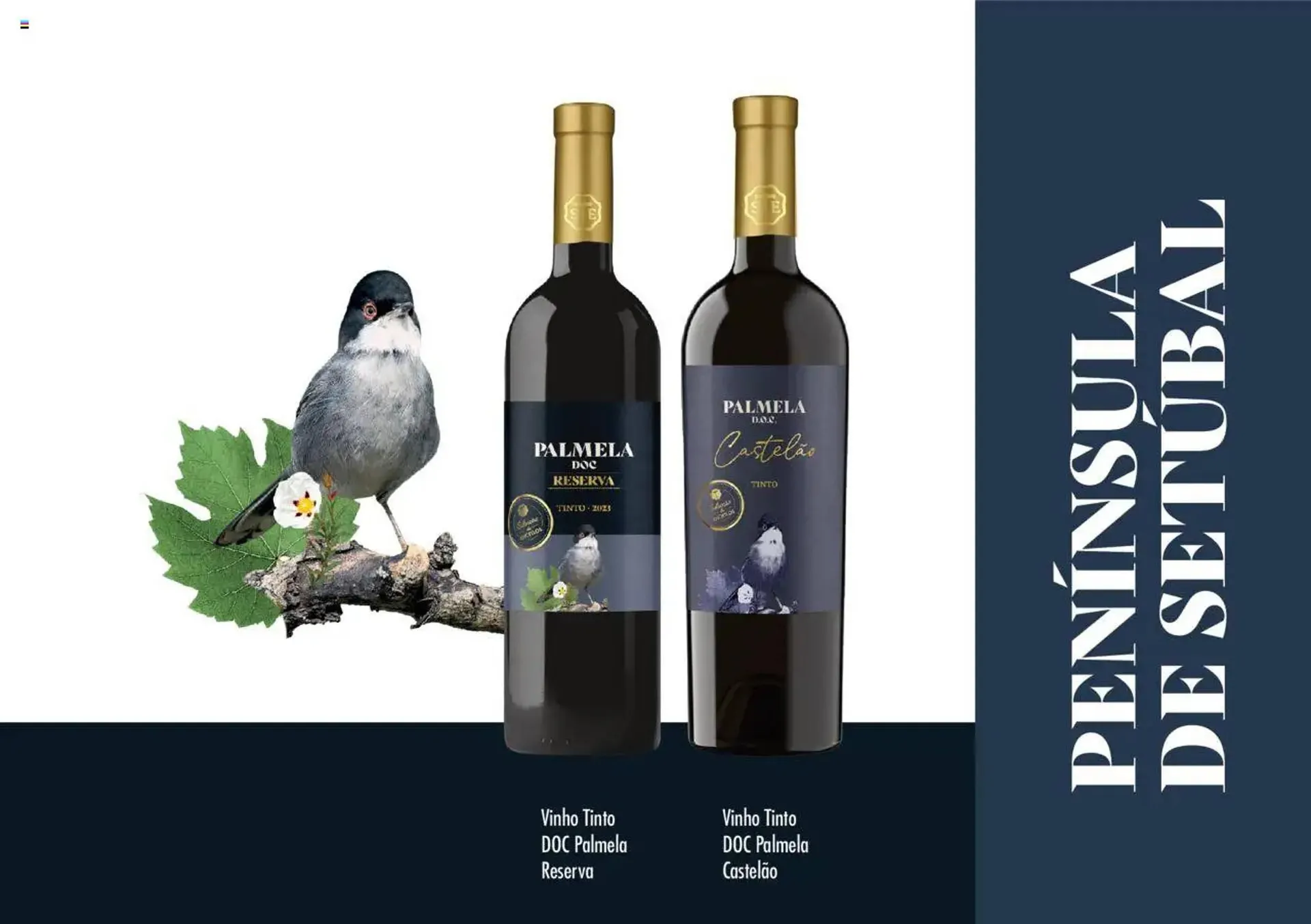 Folheto Folheto Intermarché de 11 de julho até 1 de setembro 2025 - Pagina 9