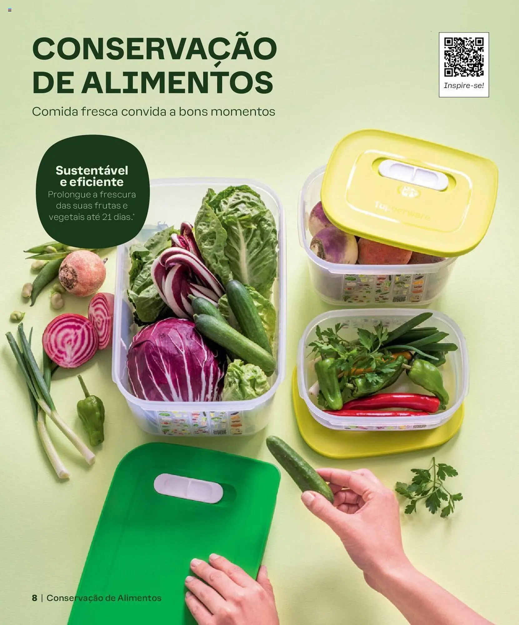 Folheto Folheto Tupperware de 5 de março até 31 de agosto 2024 - Pagina 8