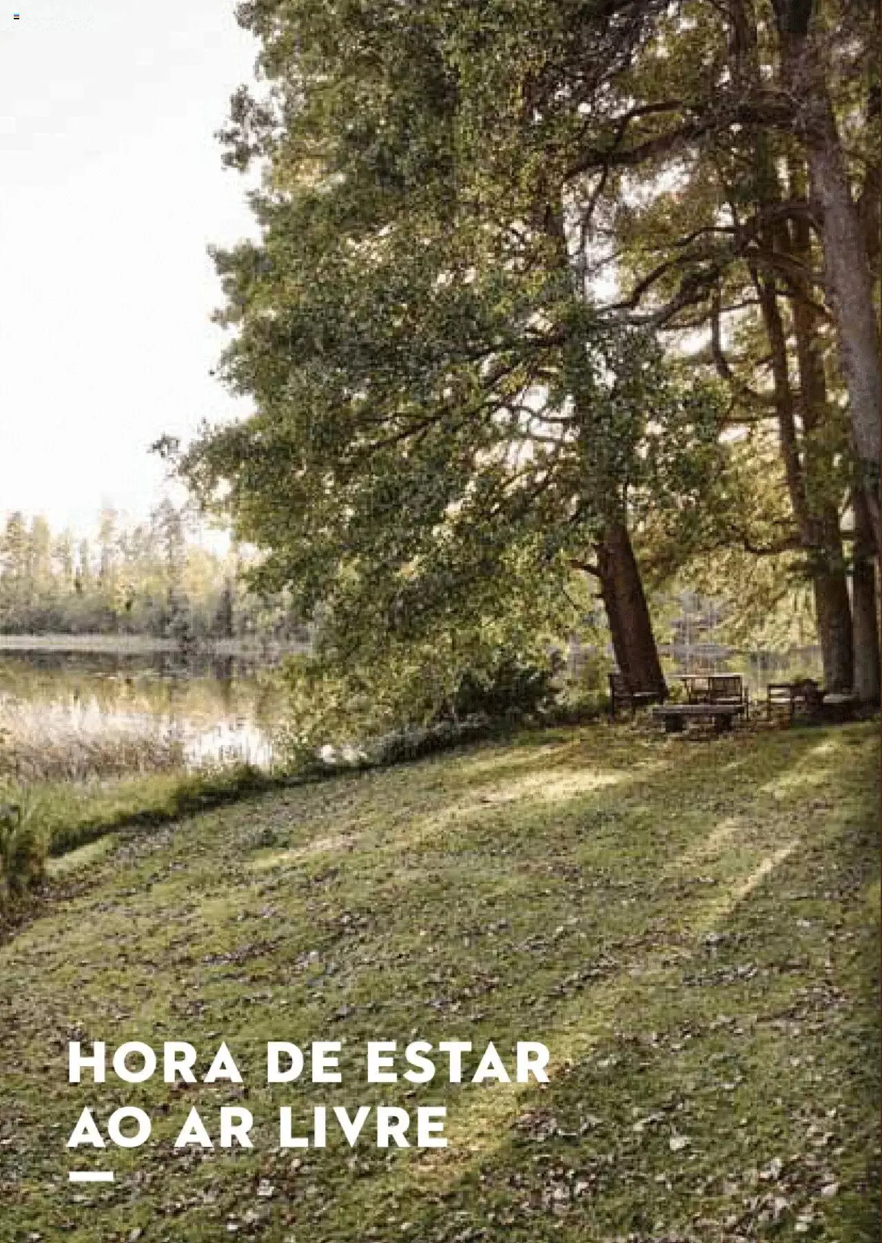 Folheto Stihl catálogo de 1 de maio até 31 de dezembro 2024 - Pagina 4