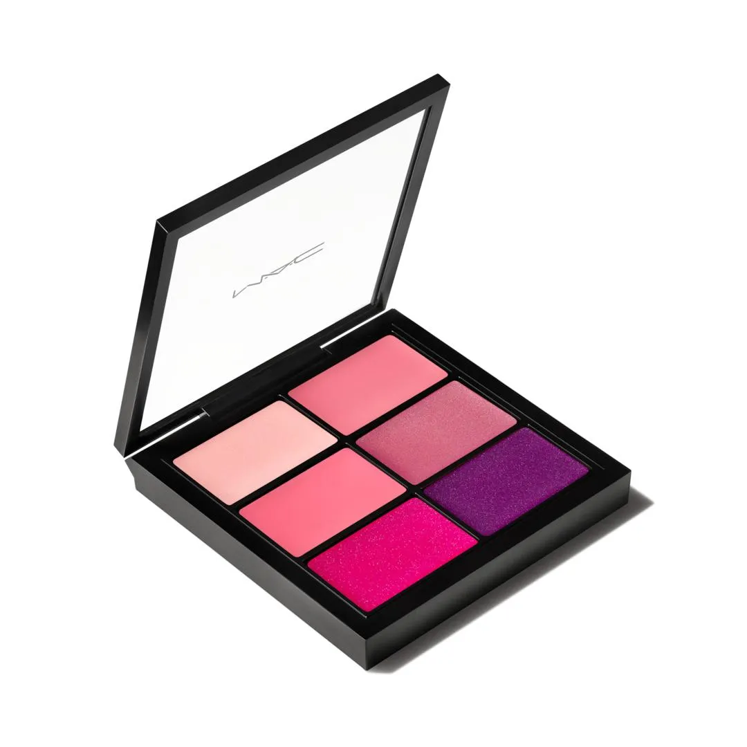 PRO Lip Palette / 6 Preferred Pinks