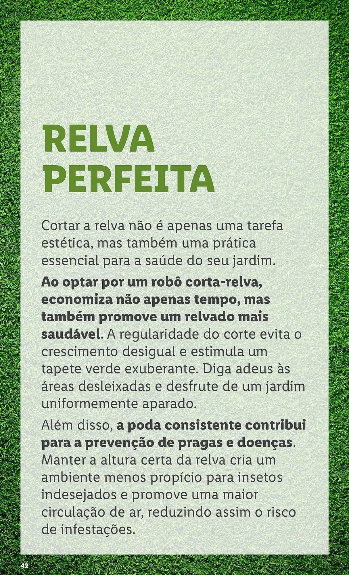Folheto Folheto Lidl de 4 de março até 31 de março 2024 - Pagina 42