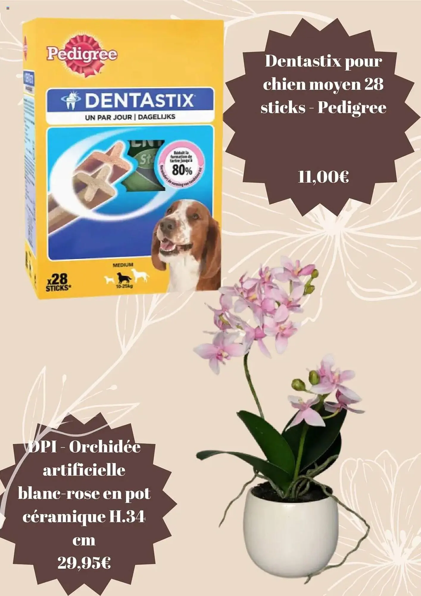 Folheto Folheto Jardiland de 5 de maio até 5 de junho 2025 - Pagina 7