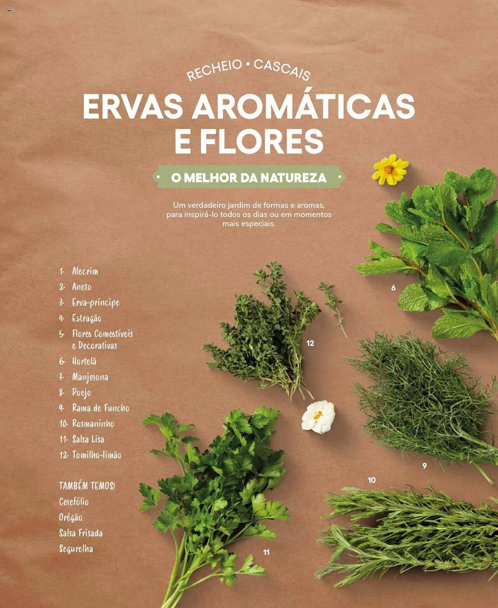 Folheto Folheto Recheio de 19 de setembro até 31 de dezembro 2025 - Pagina 60