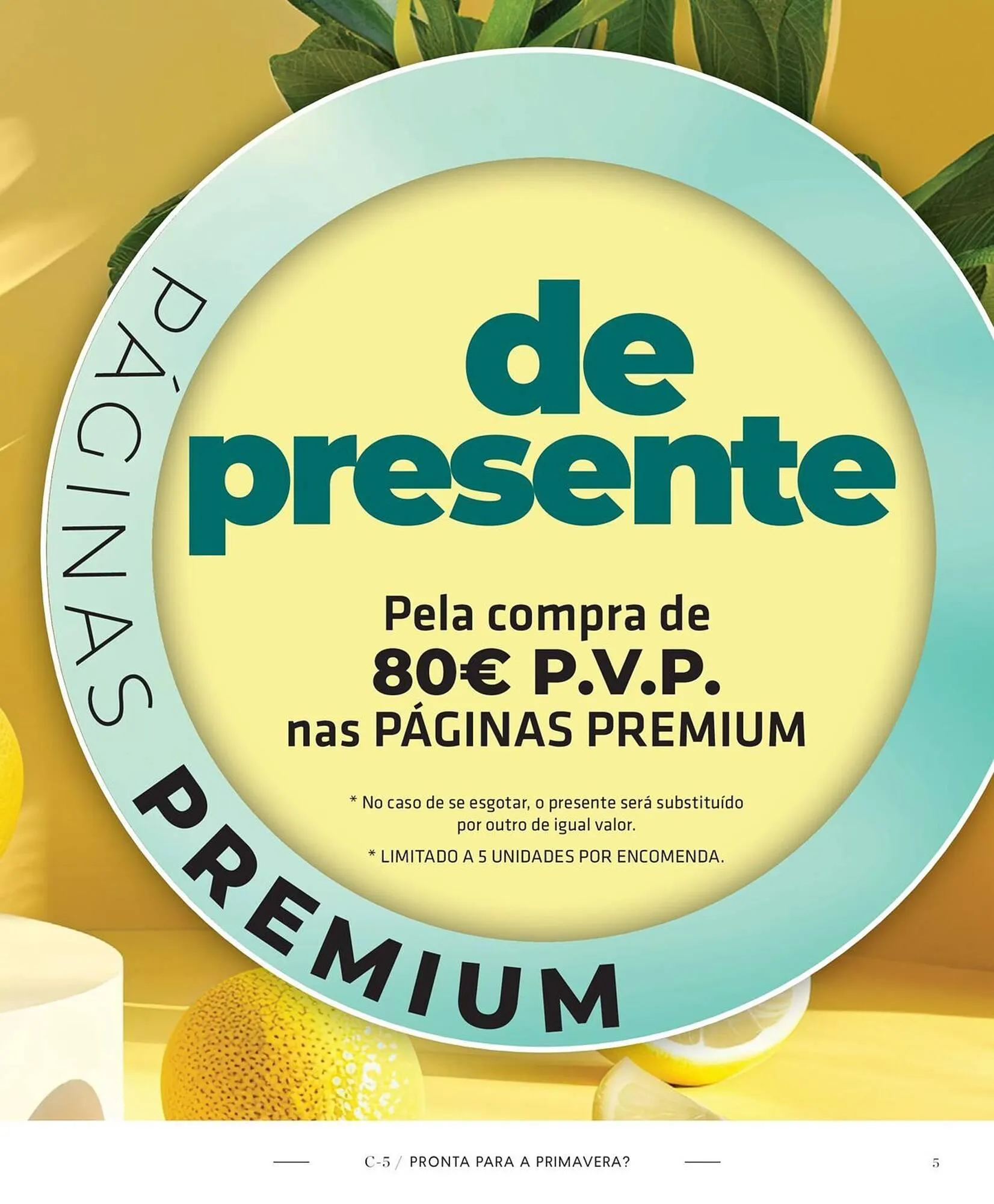 Folheto Folheto Cristian Lay de 24 de março até 13 de abril 2025 - Pagina 5