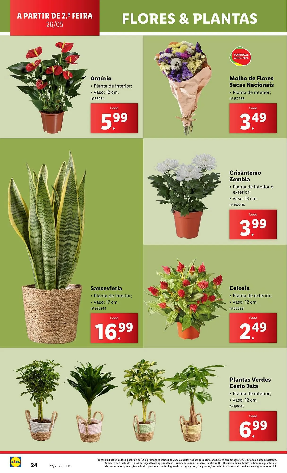 Folheto Folheto Lidl de 26 de maio até 1 de junho 2025 - Pagina 24