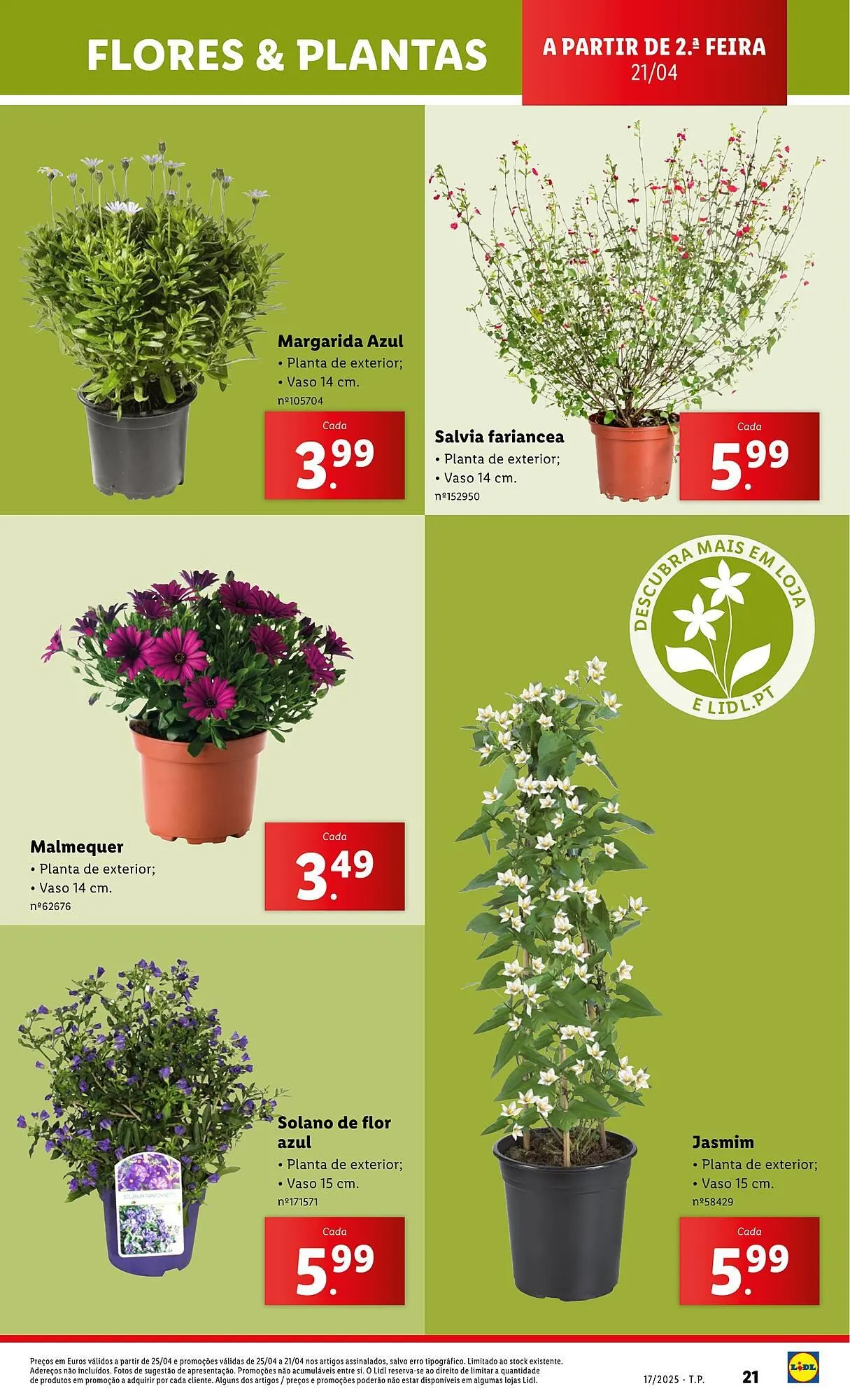 Folheto Folheto Lidl de 21 de abril até 27 de abril 2025 - Pagina 21