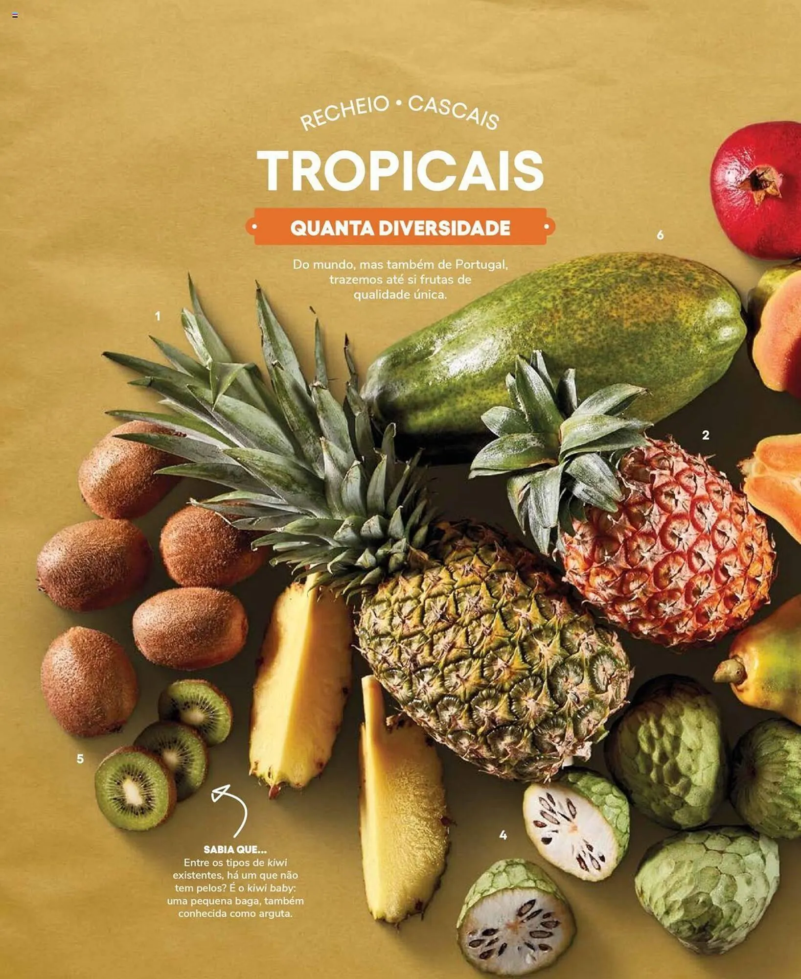 Folheto Folheto Recheio de 19 de setembro até 31 de dezembro 2025 - Pagina 80