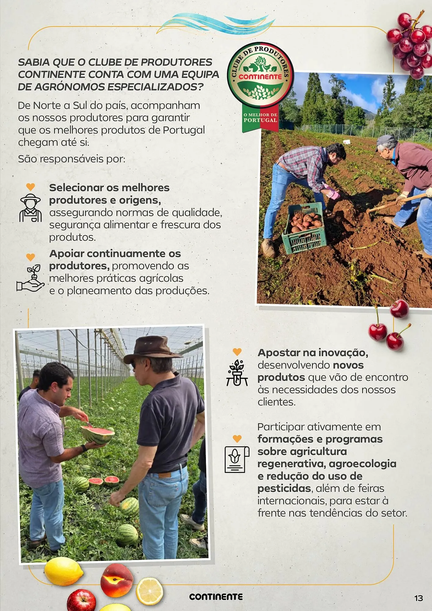 Folheto Folheto Continente de 15 de julho até 27 de julho 2025 - Pagina 13