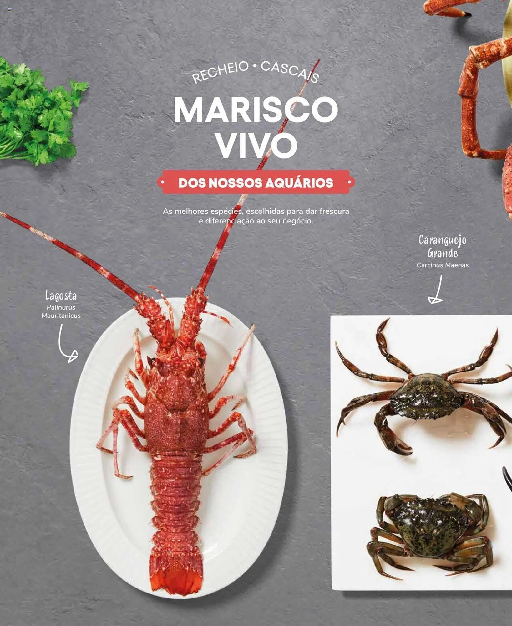 Folheto Folheto Recheio de 19 de setembro até 31 de dezembro 2025 - Pagina 24