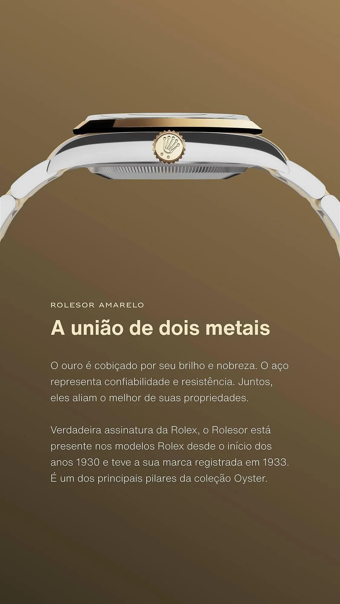 Folheto Folheto Rolex de 7 de fevereiro até 31 de dezembro 2025 - Pagina 6