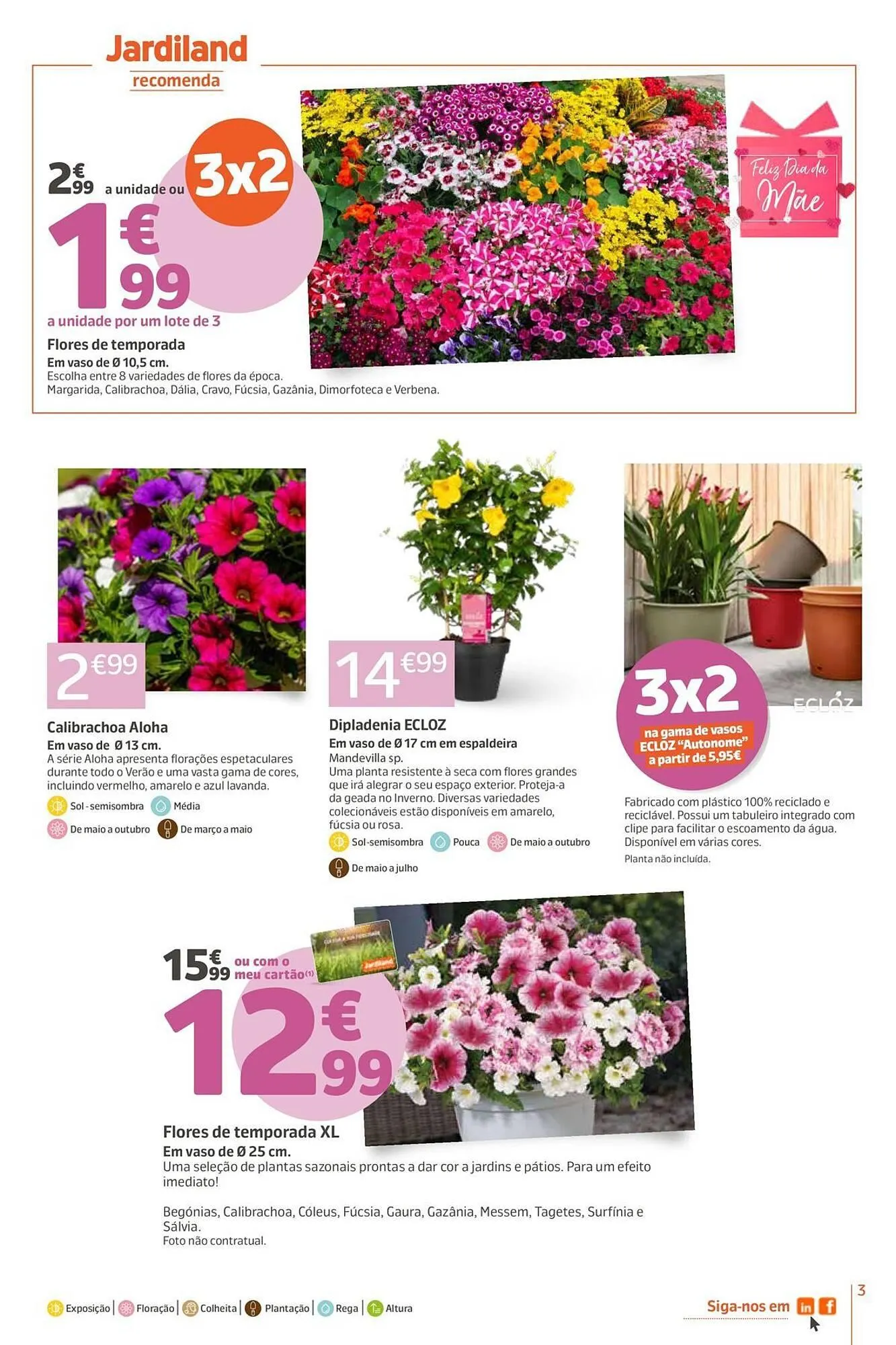 Folheto Catálogo Jardiland de 23 de abril até 3 de maio 2026 - Pagina 3