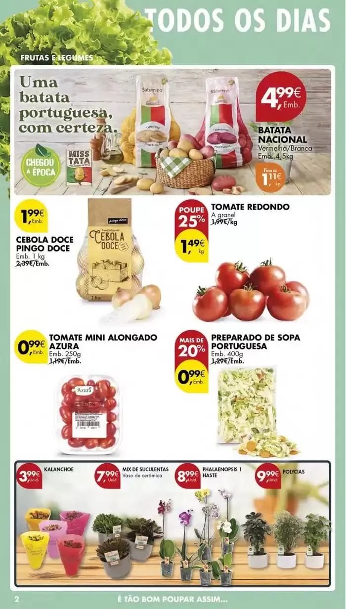 Folheto Ofertas especiais atrativas para todos de 7 de janeiro até 13 de janeiro 2025 - Pagina 34