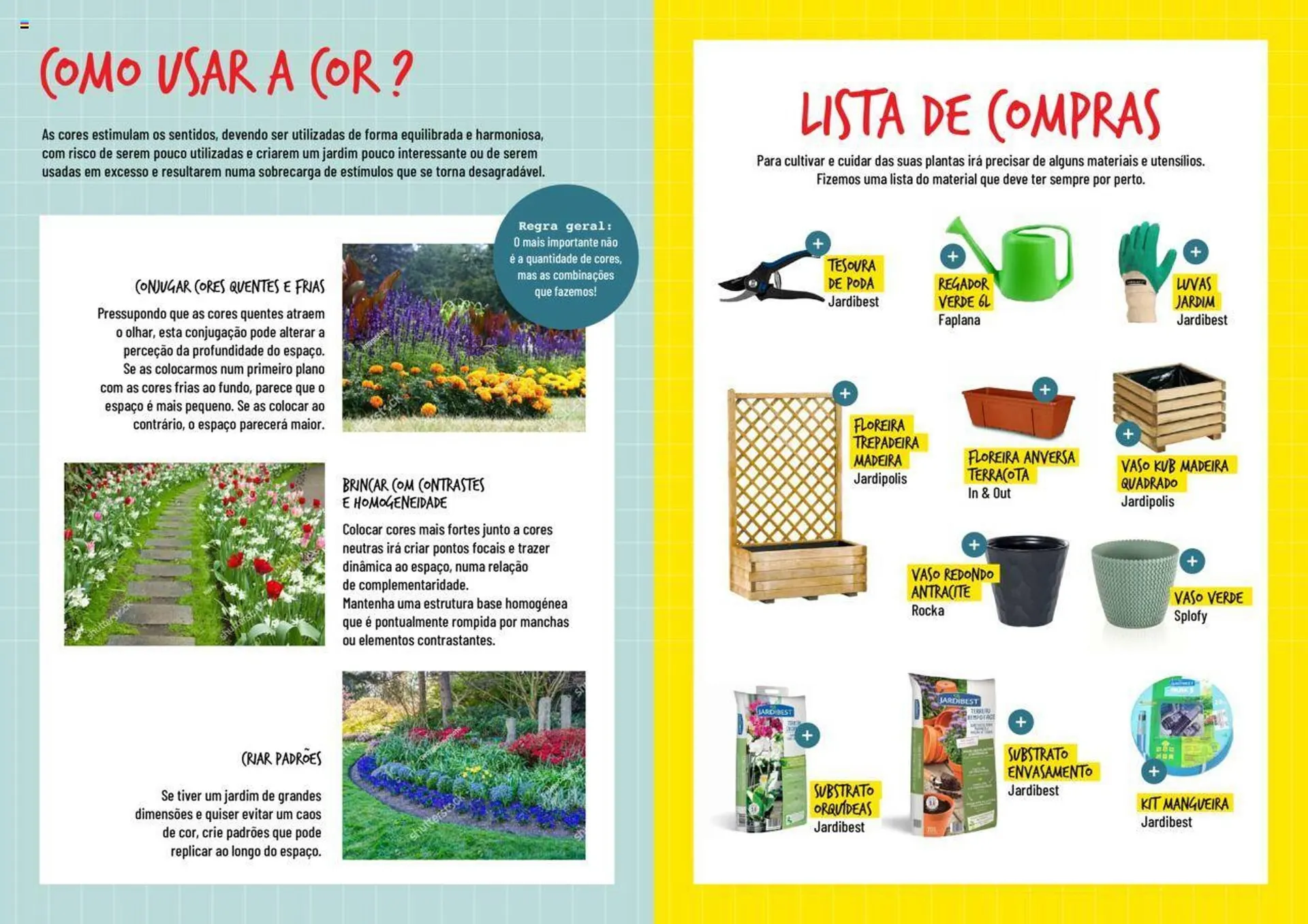 Folheto Folheto Bricomarché Plantas Floridas de 17 de janeiro até 31 de dezembro 2024 - Pagina 4