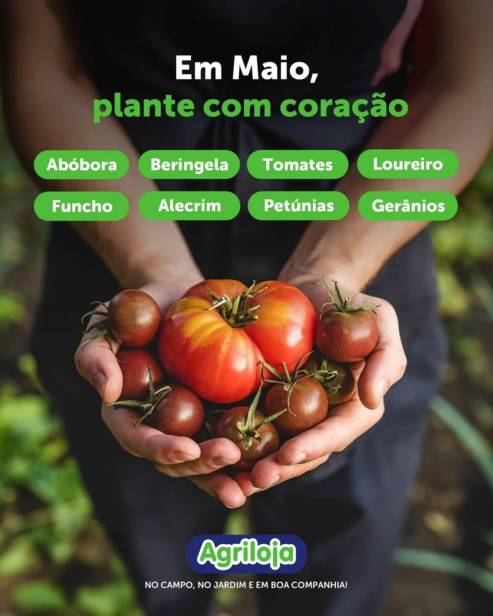 Folheto Folheto Agriloja de 9 de maio até 15 de maio 2025 - Pagina 2