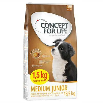 Concept for Life 13,5 kg em promoção: 12 + 1,5 kg grátis!