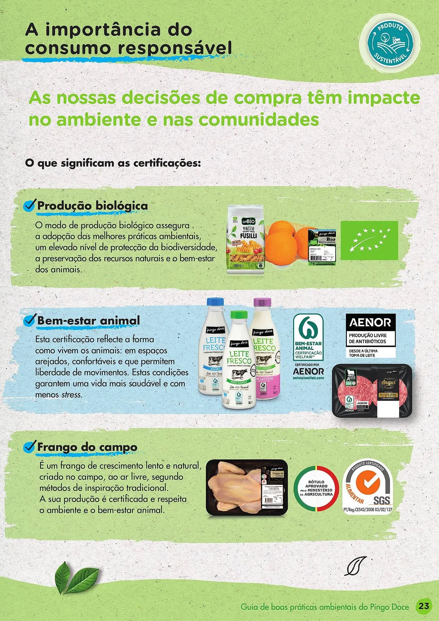 Folheto Folheto Pingo Doce de 2 de março até 3 de janeiro 2026 - Pagina 23