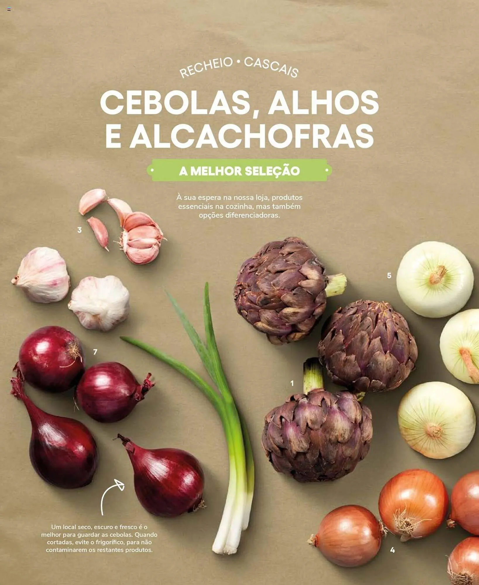 Folheto Folheto Recheio de 19 de setembro até 31 de dezembro 2025 - Pagina 20