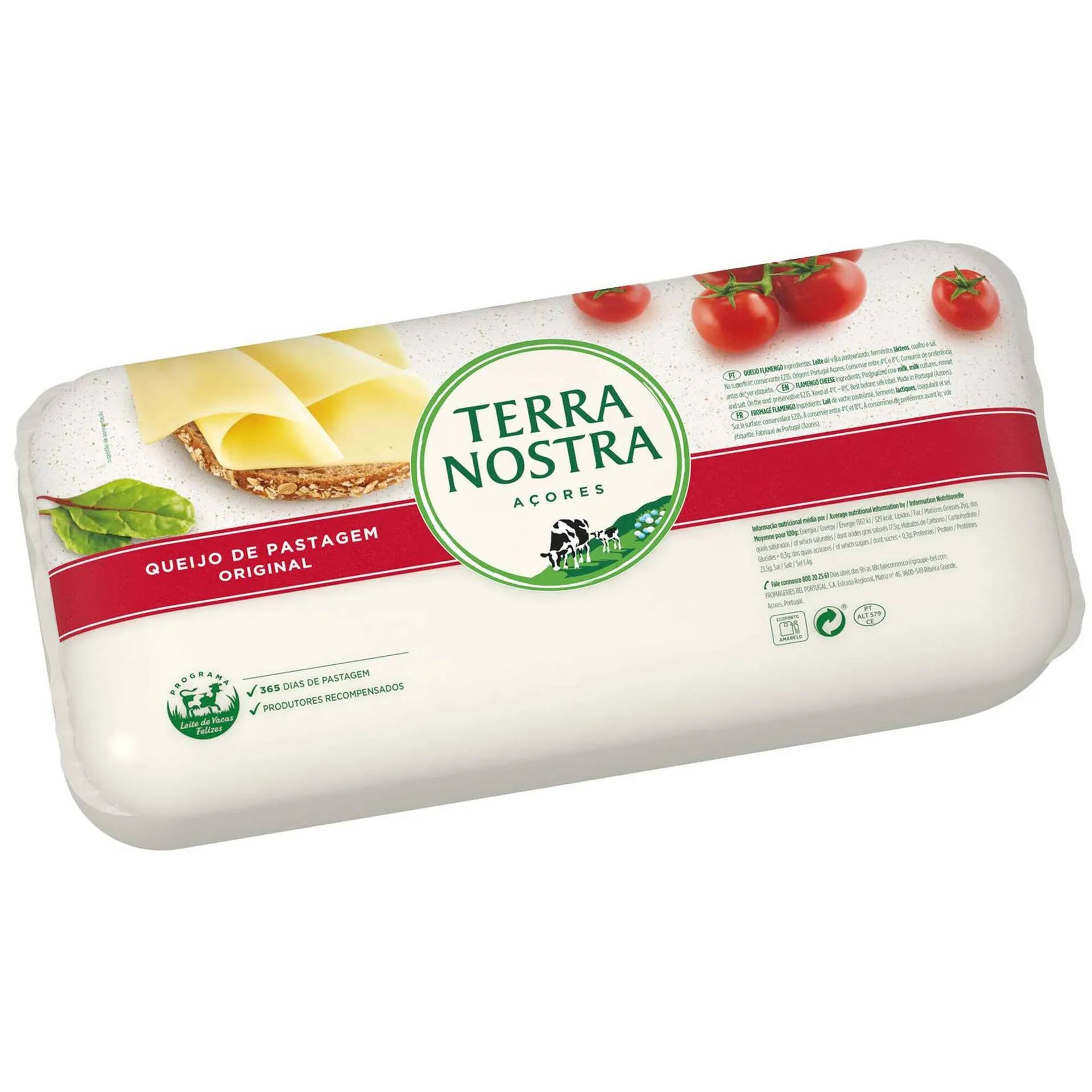 Queijo Flamengo Fatiado no Balcão