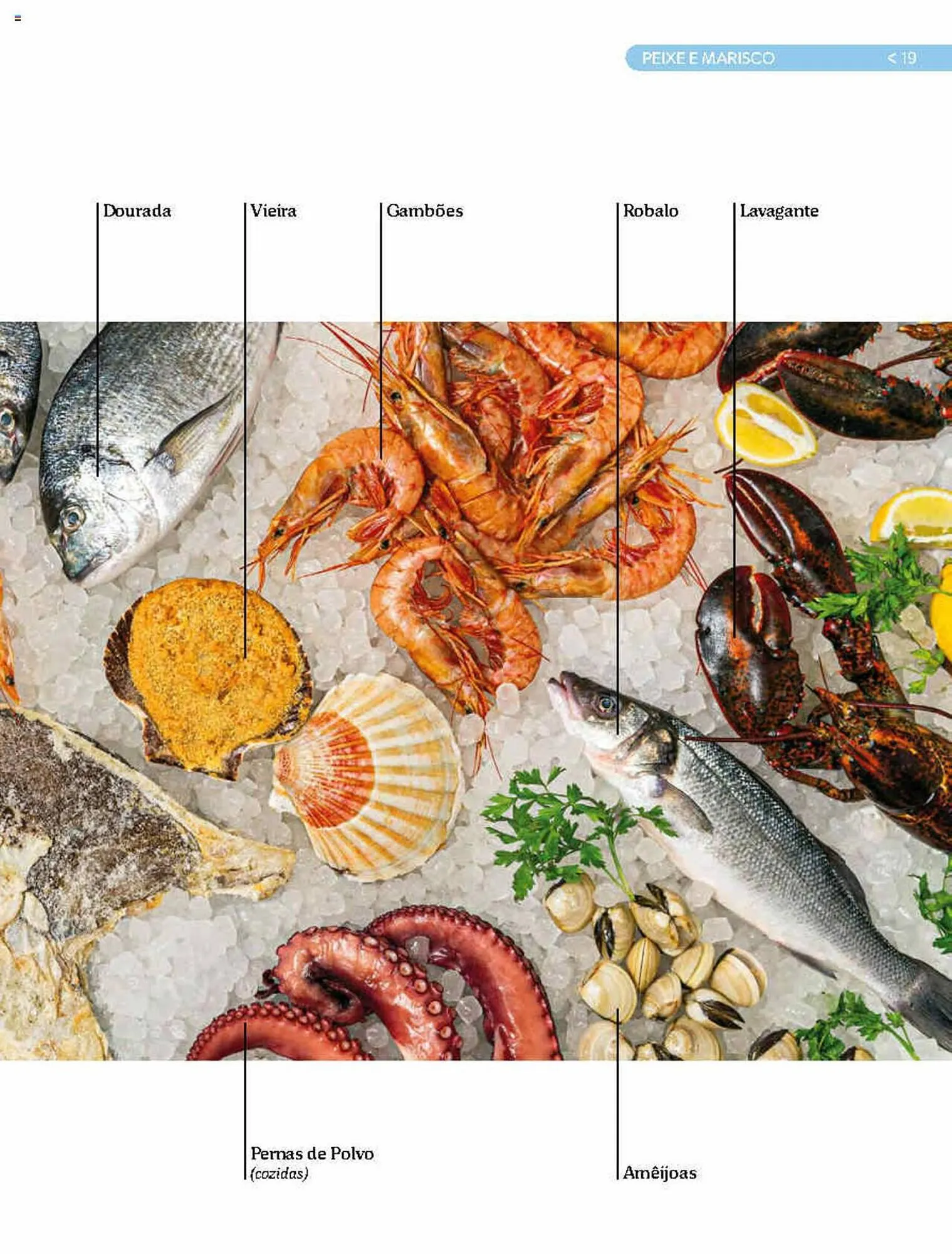 Folheto Folheto Mercadona de 13 de dezembro até 31 de dezembro 2023 - Pagina 19