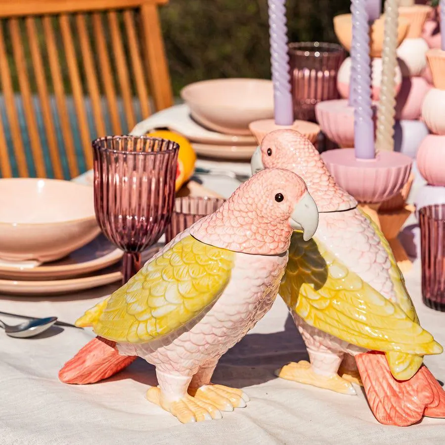 Caixa pássaro 20,7cm CATATUA