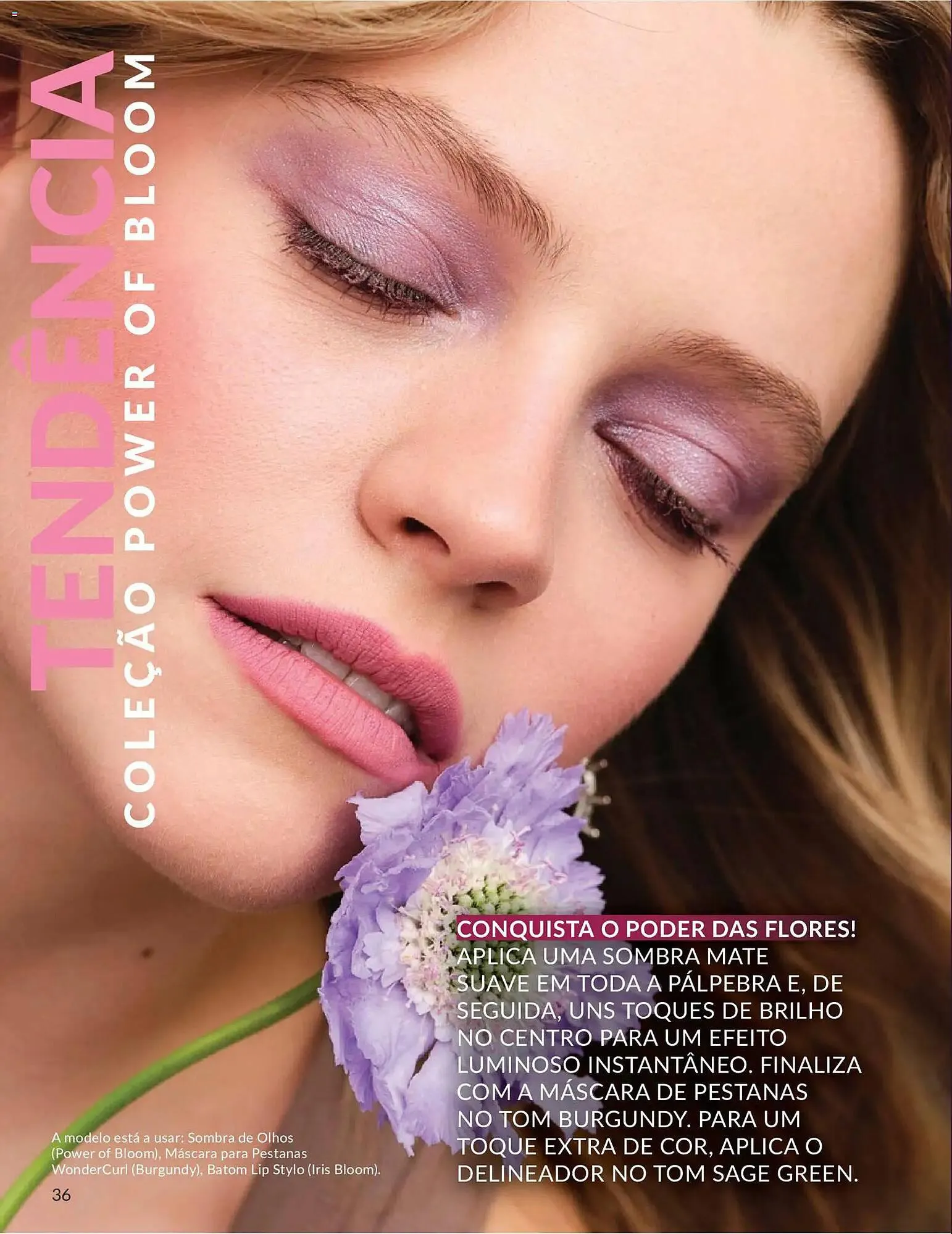 Folheto Catálogo Avon de 1 de maio até 31 de maio 2026 - Pagina 36