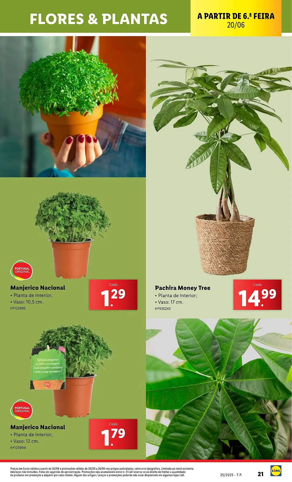 Folheto Folheto Lidl de 16 de junho até 22 de junho 2025 - Pagina 21