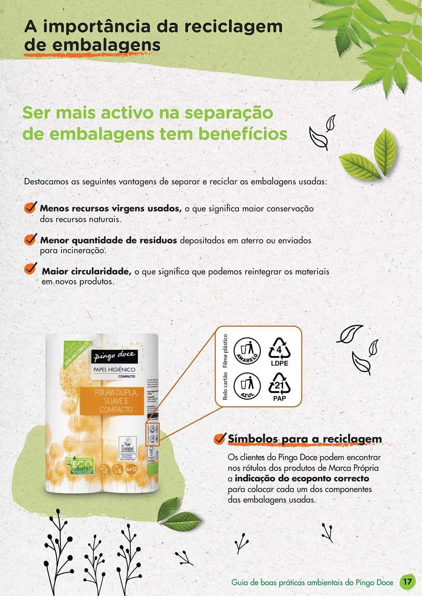 Folheto Folheto Pingo Doce de 21 de agosto até 31 de maio 2025 - Pagina 17