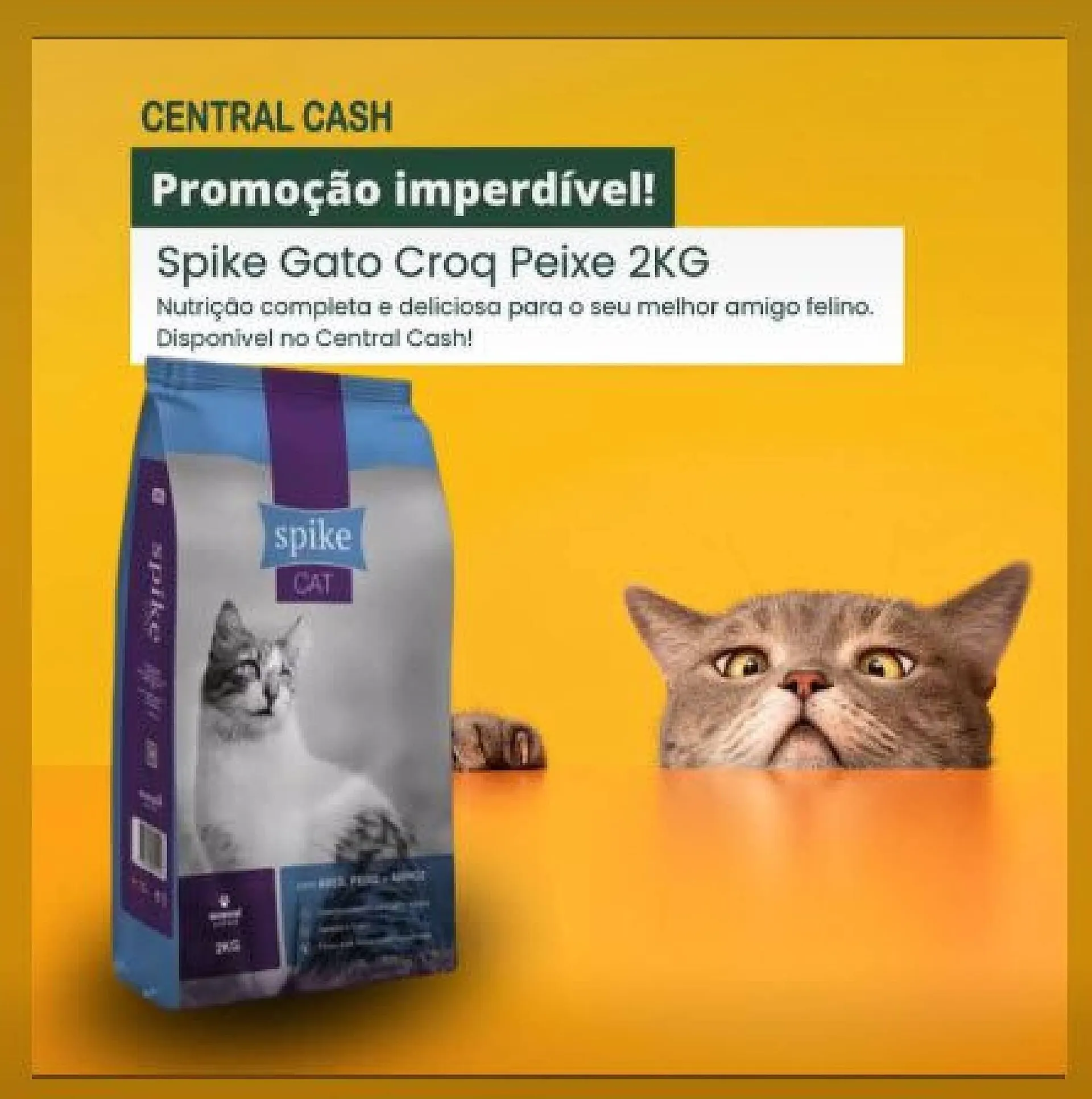 Folheto Central Cash - 1