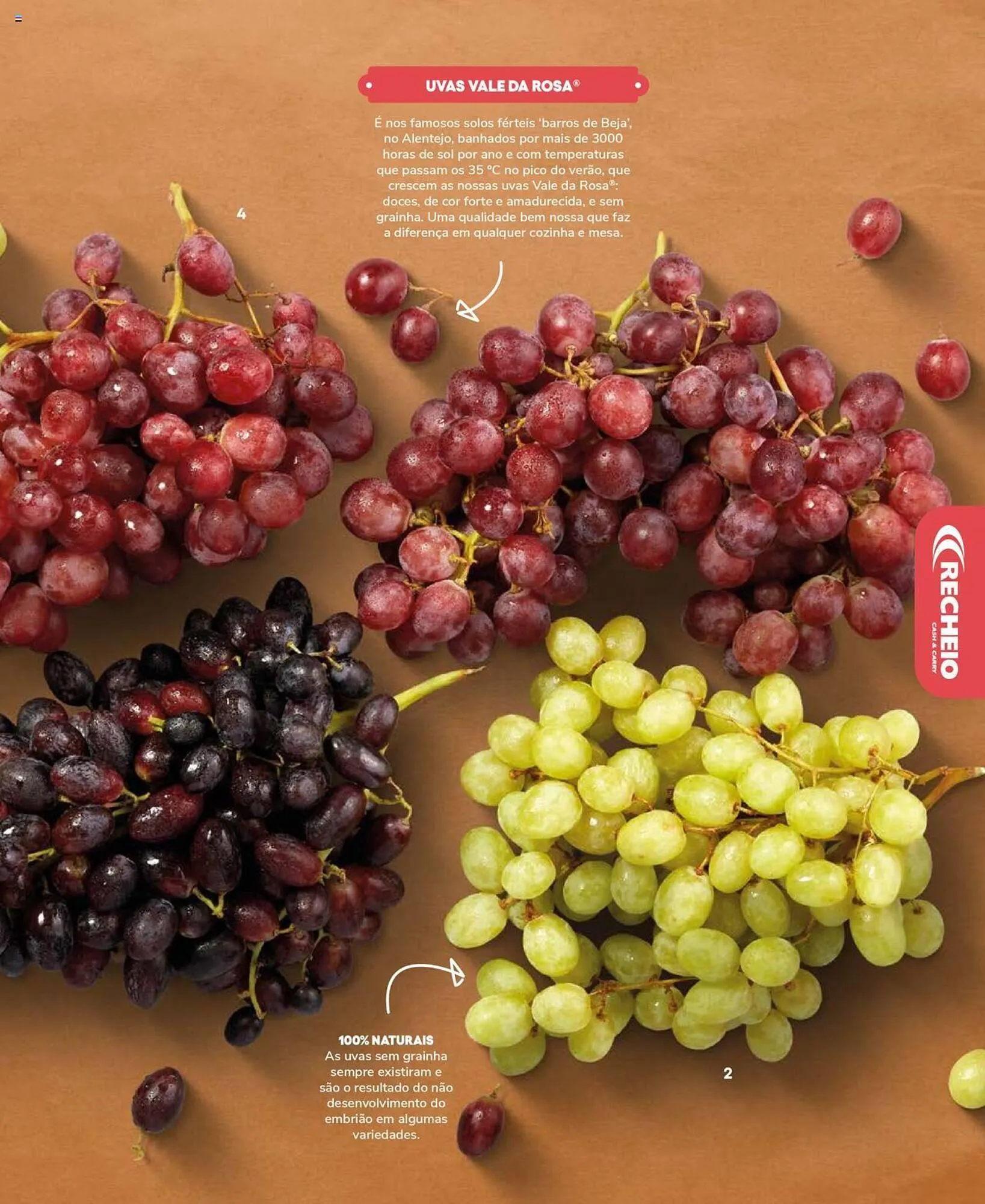 Folheto Folheto Recheio de 19 de setembro até 31 de dezembro 2025 - Pagina 75