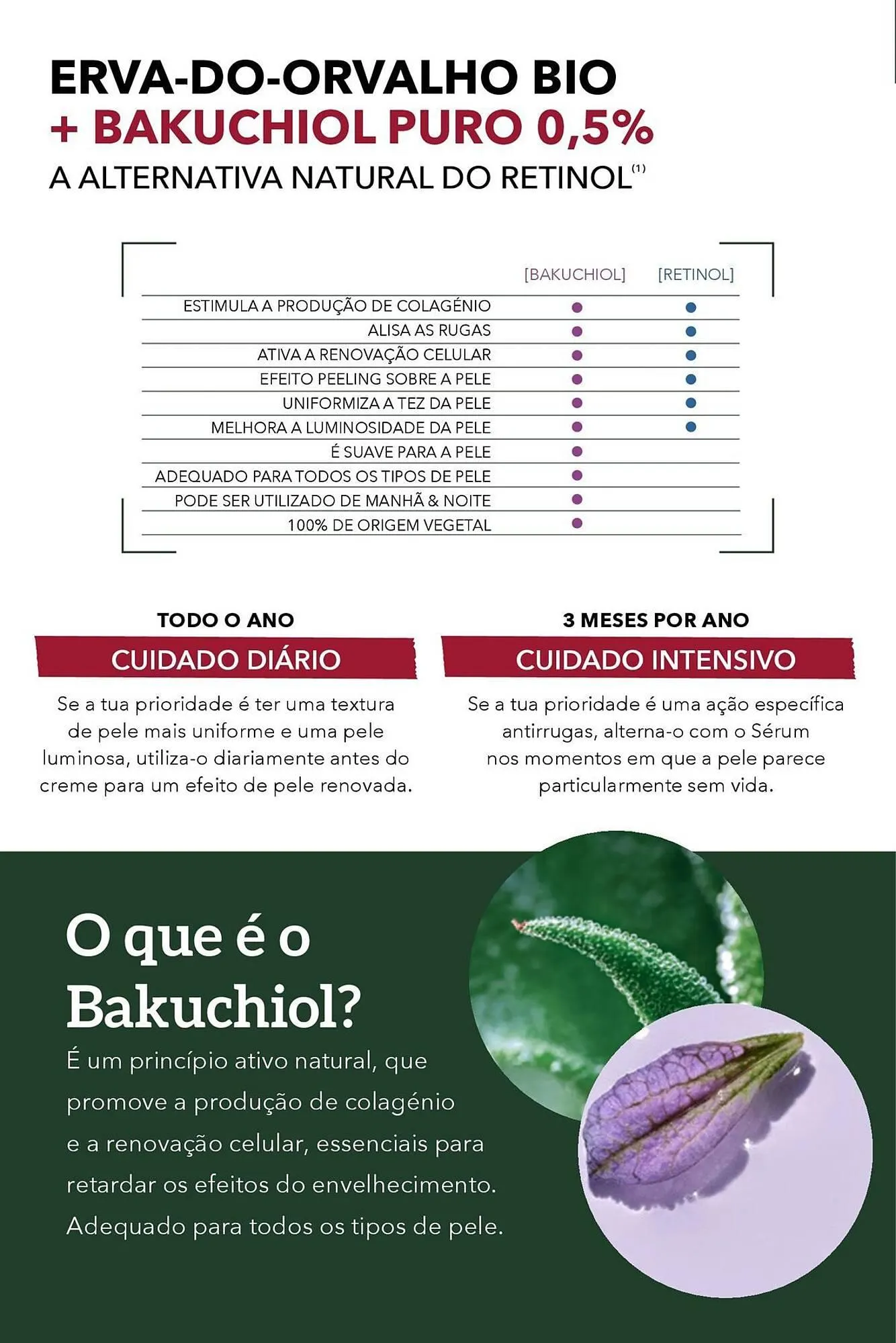 Folheto Folheto Yves Rocher de 30 de janeiro até 26 de fevereiro 2025 - Pagina 18