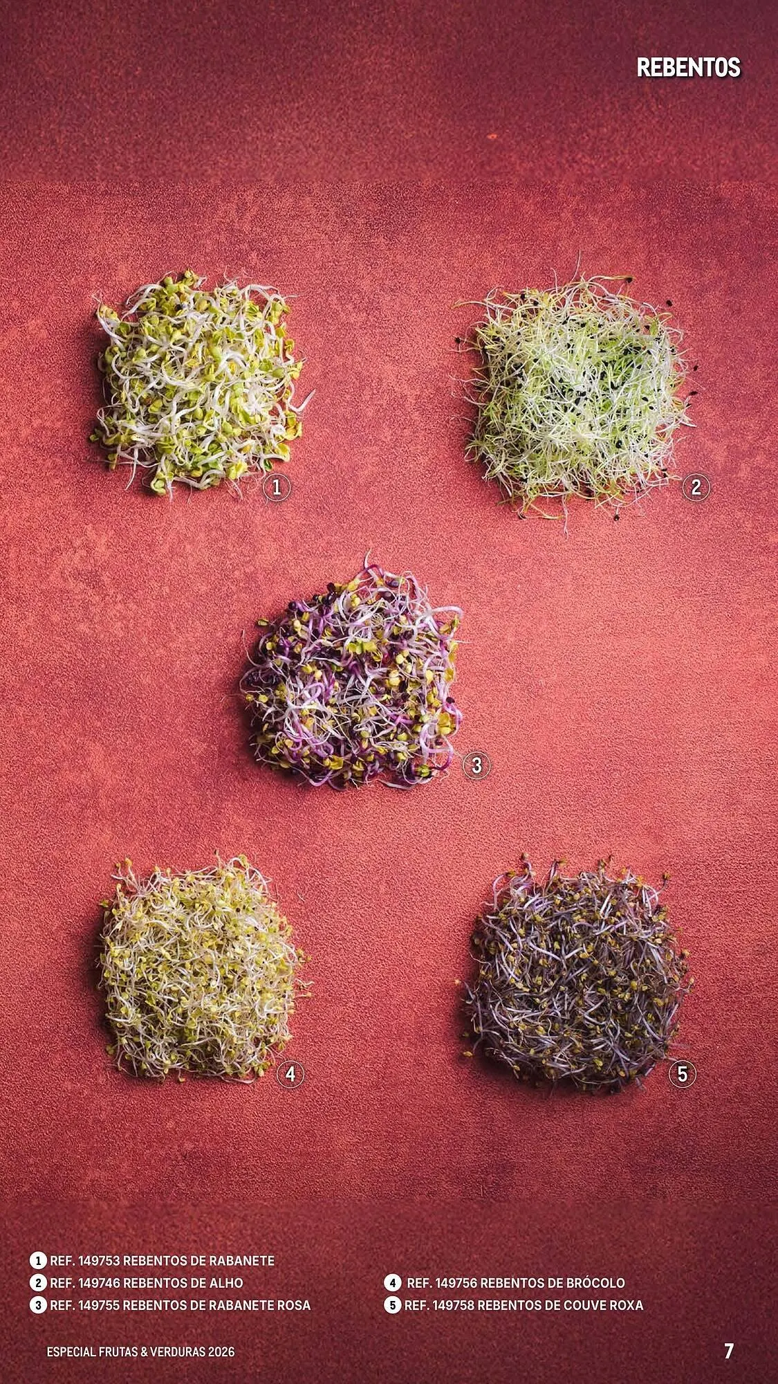 Folheto Catálogo Makro de 6 de março até 25 de abril 2026 - Pagina 7