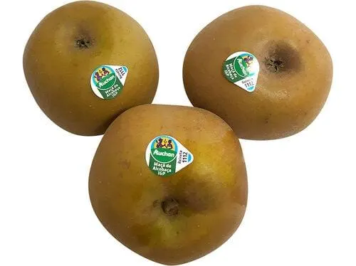 maçã reineta de alcobaça igp auchan cultivamos o bom kg