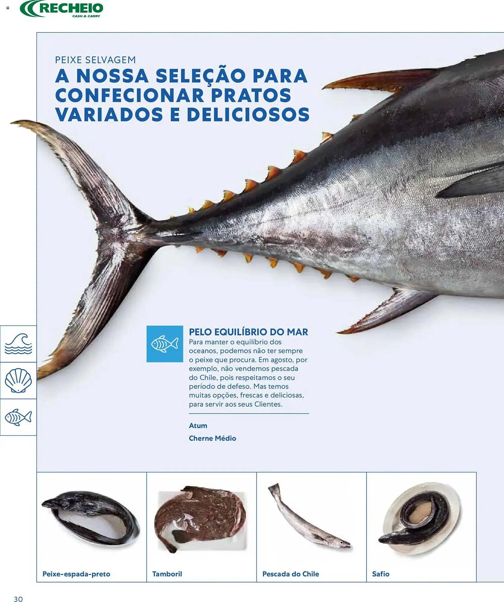 Folheto Folheto Recheio de 16 de março até 1 de janeiro 2027 - Pagina 30