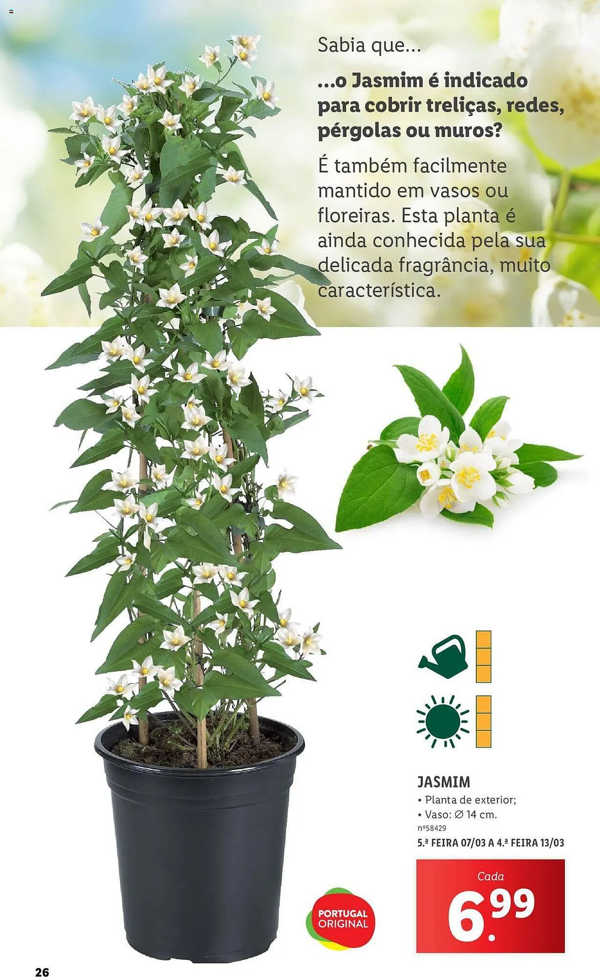 Folheto Folheto Lidl de 4 de março até 31 de março 2024 - Pagina 26