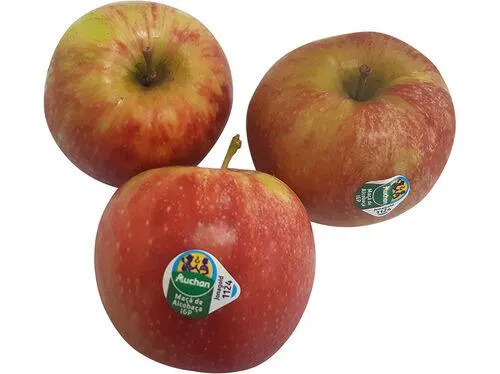 maçã jonagold de alcobaça igp auchan cultivamos o bom kg