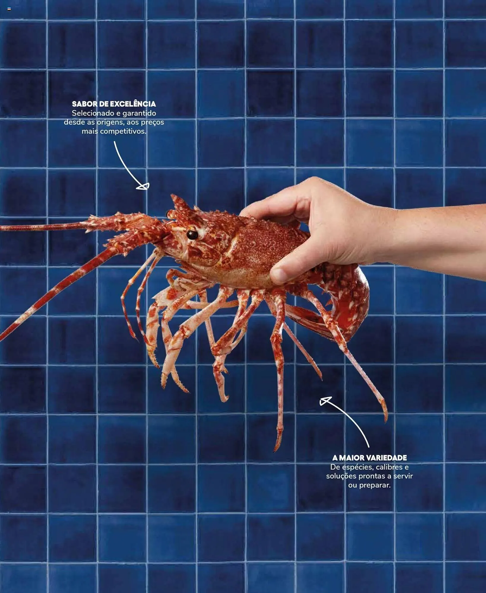 Folheto Folheto Recheio de 19 de setembro até 31 de dezembro 2025 - Pagina 23