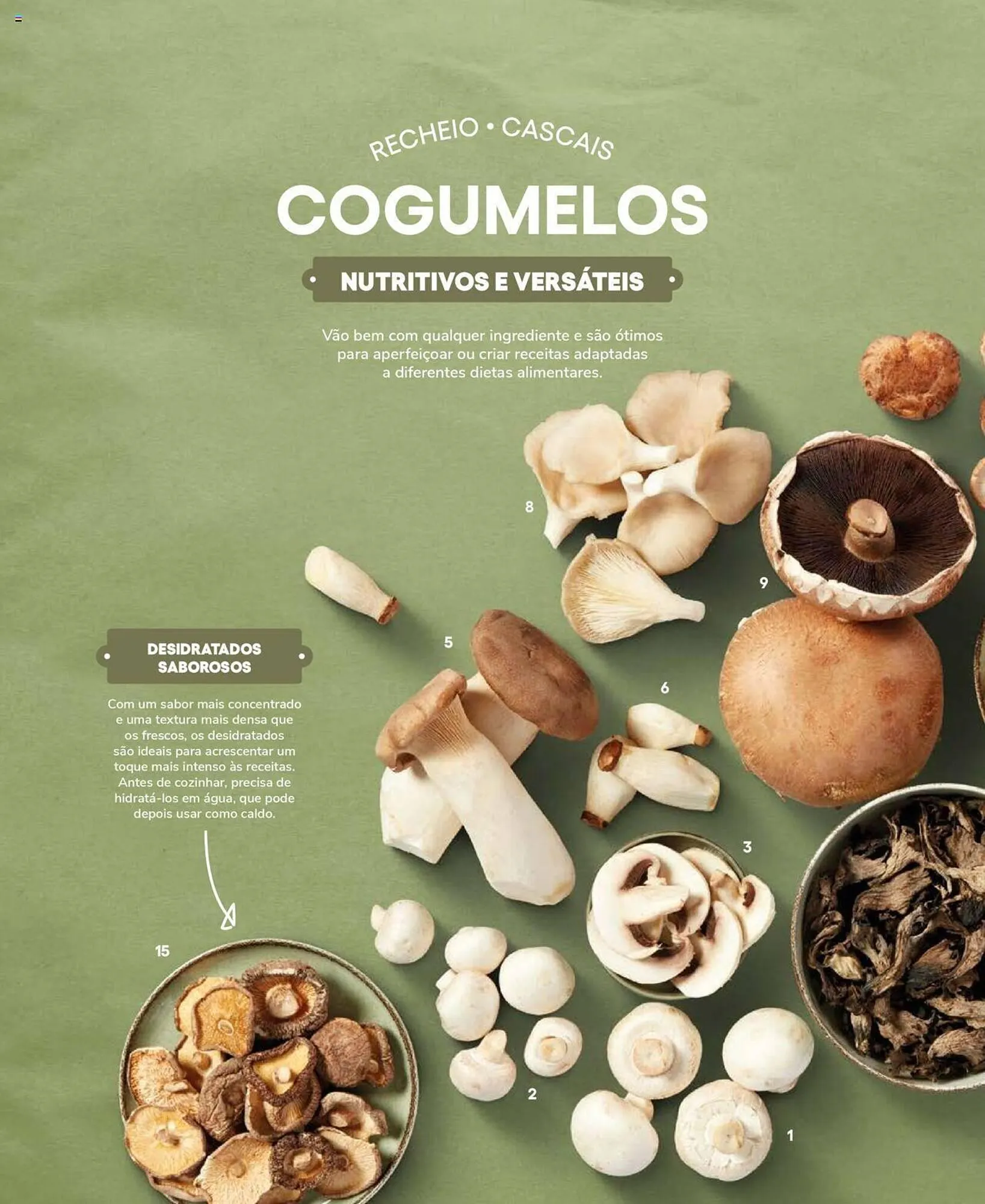 Folheto Folheto Recheio de 19 de setembro até 31 de dezembro 2025 - Pagina 44