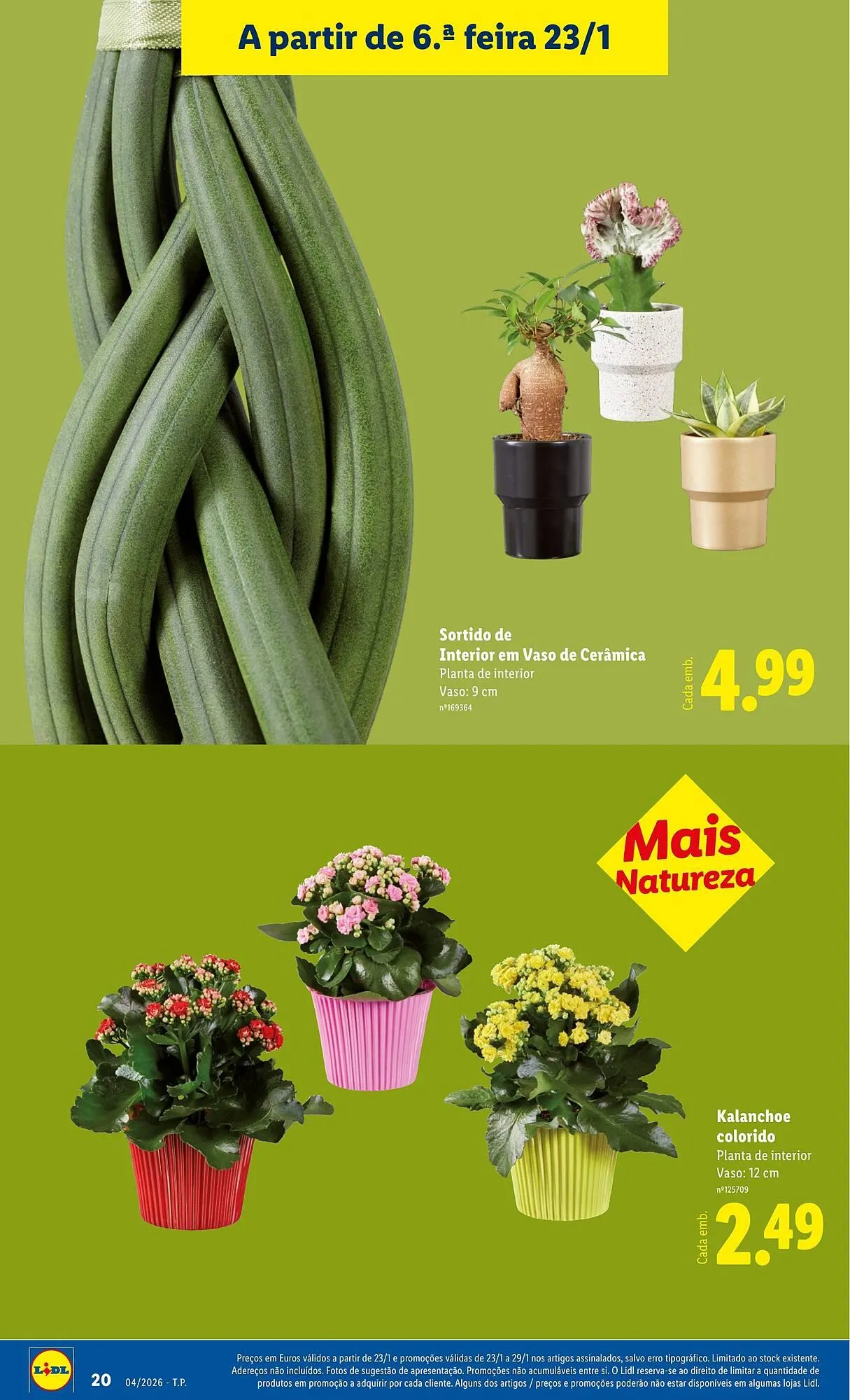 Folheto Folheto Lidl de 19 de janeiro até 25 de janeiro 2026 - Pagina 20