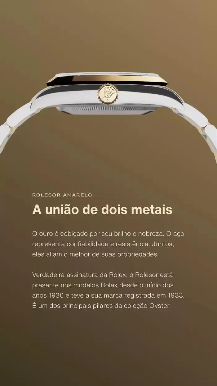 Folheto Explorer de 29 de janeiro até 31 de dezembro 2025 - Pagina 6