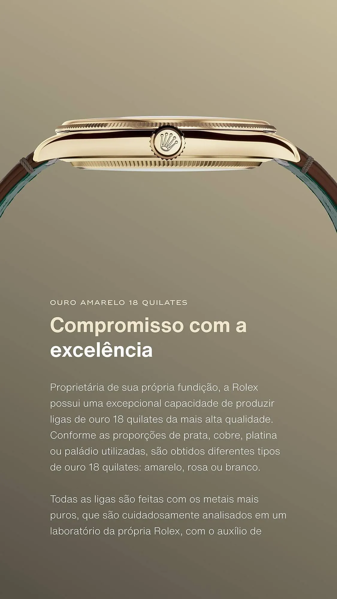 Folheto Folheto Rolex de 4 de janeiro até 4 de janeiro 2025 - Pagina 6