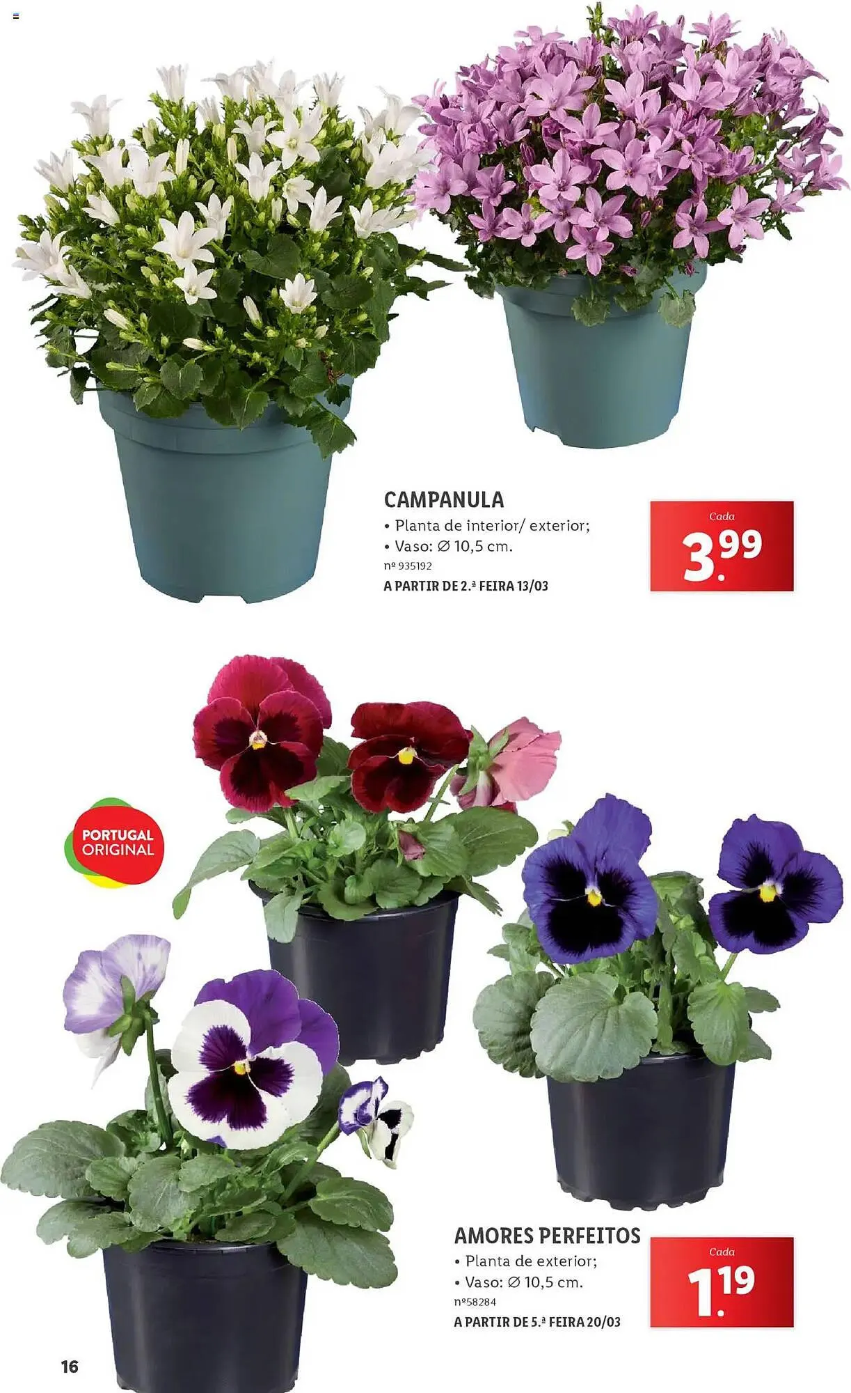 Folheto Folheto Lidl de 3 de março até 31 de maio 2025 - Pagina 16