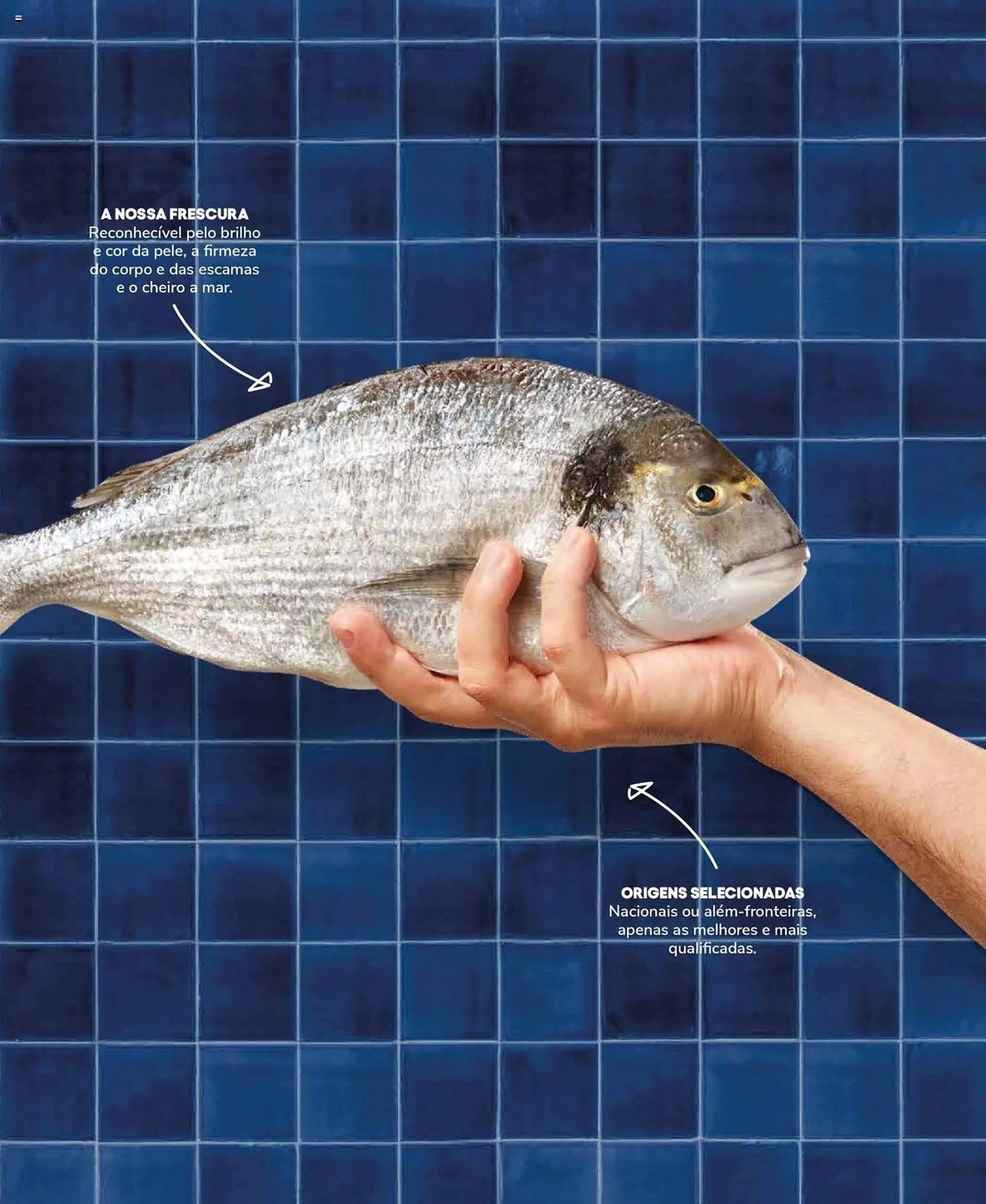 Folheto Folheto Recheio de 19 de setembro até 31 de dezembro 2025 - Pagina 7
