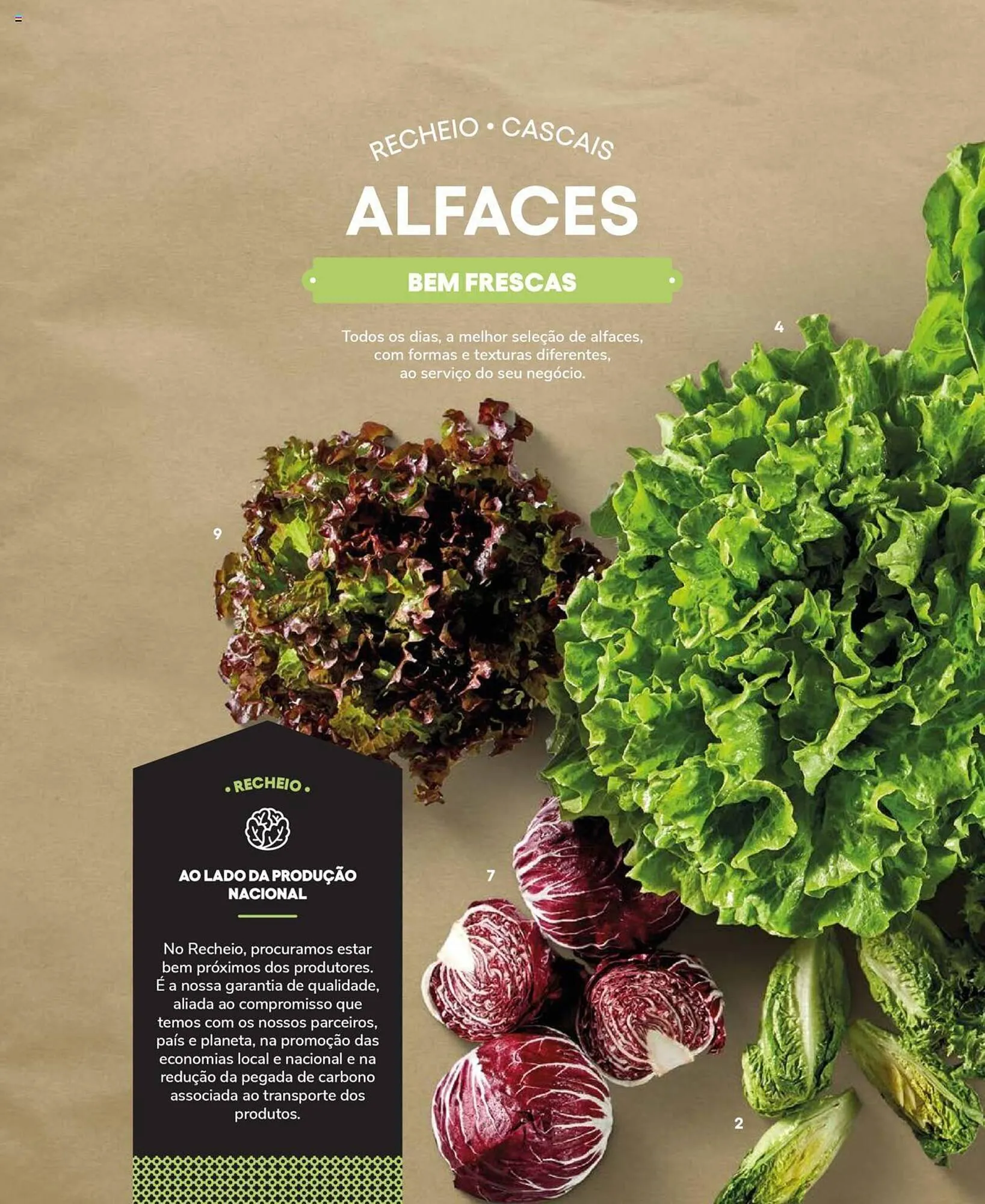 Folheto Folheto Recheio de 19 de setembro até 31 de dezembro 2025 - Pagina 8