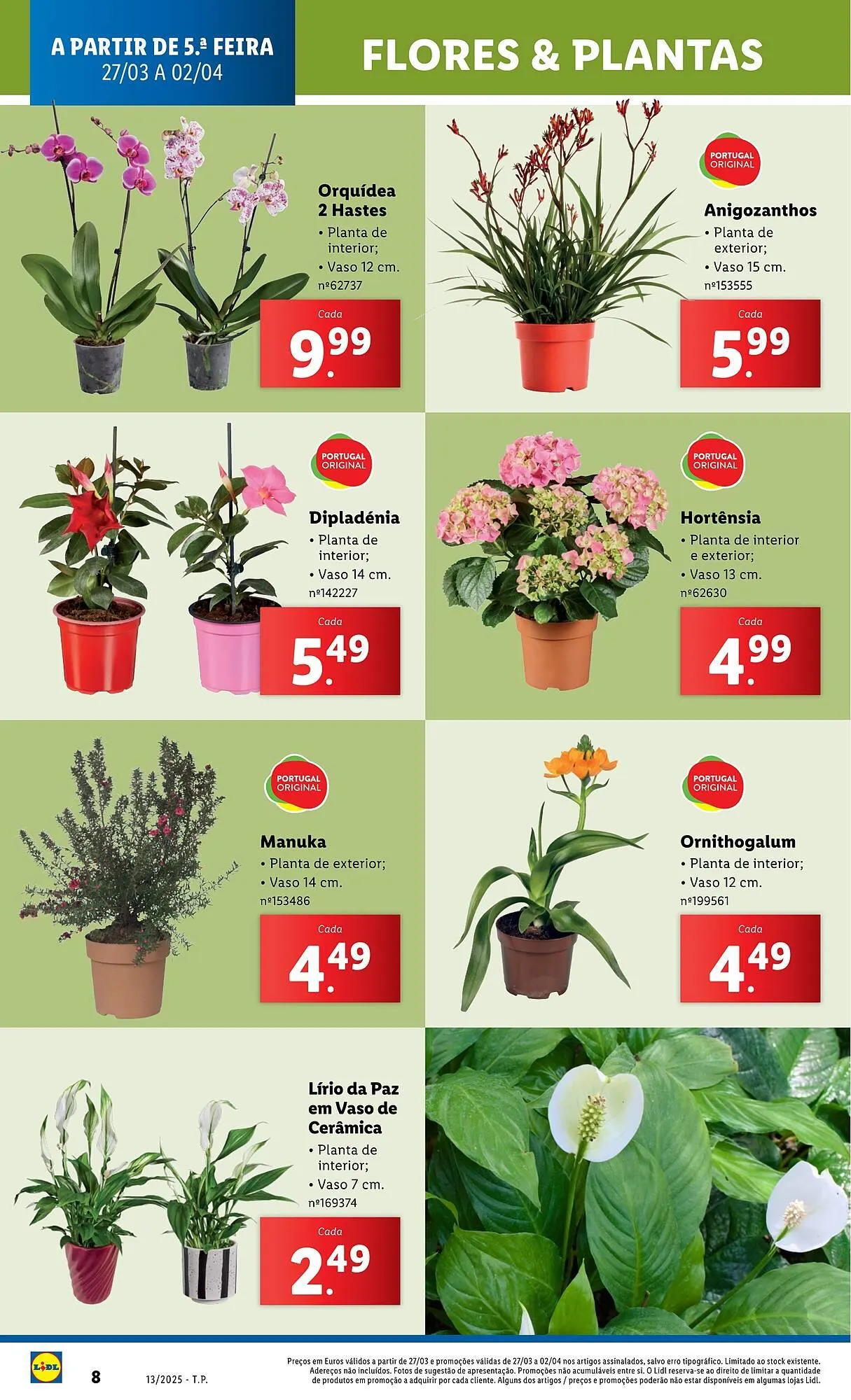 Folheto Folheto Lidl de 27 de março até 2 de abril 2025 - Pagina 8