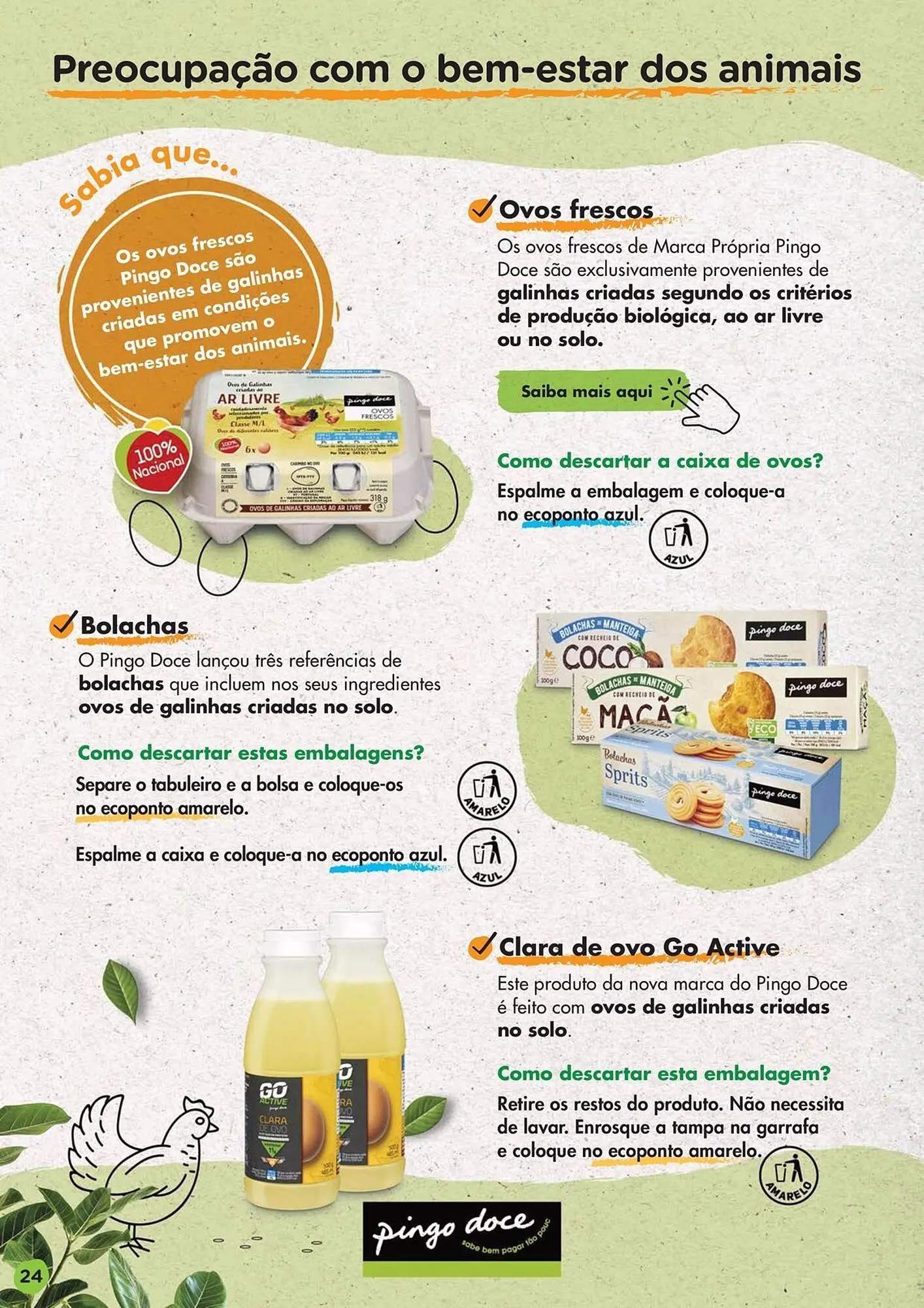 Folheto Folheto Pingo Doce de 21 de agosto até 31 de maio 2025 - Pagina 24