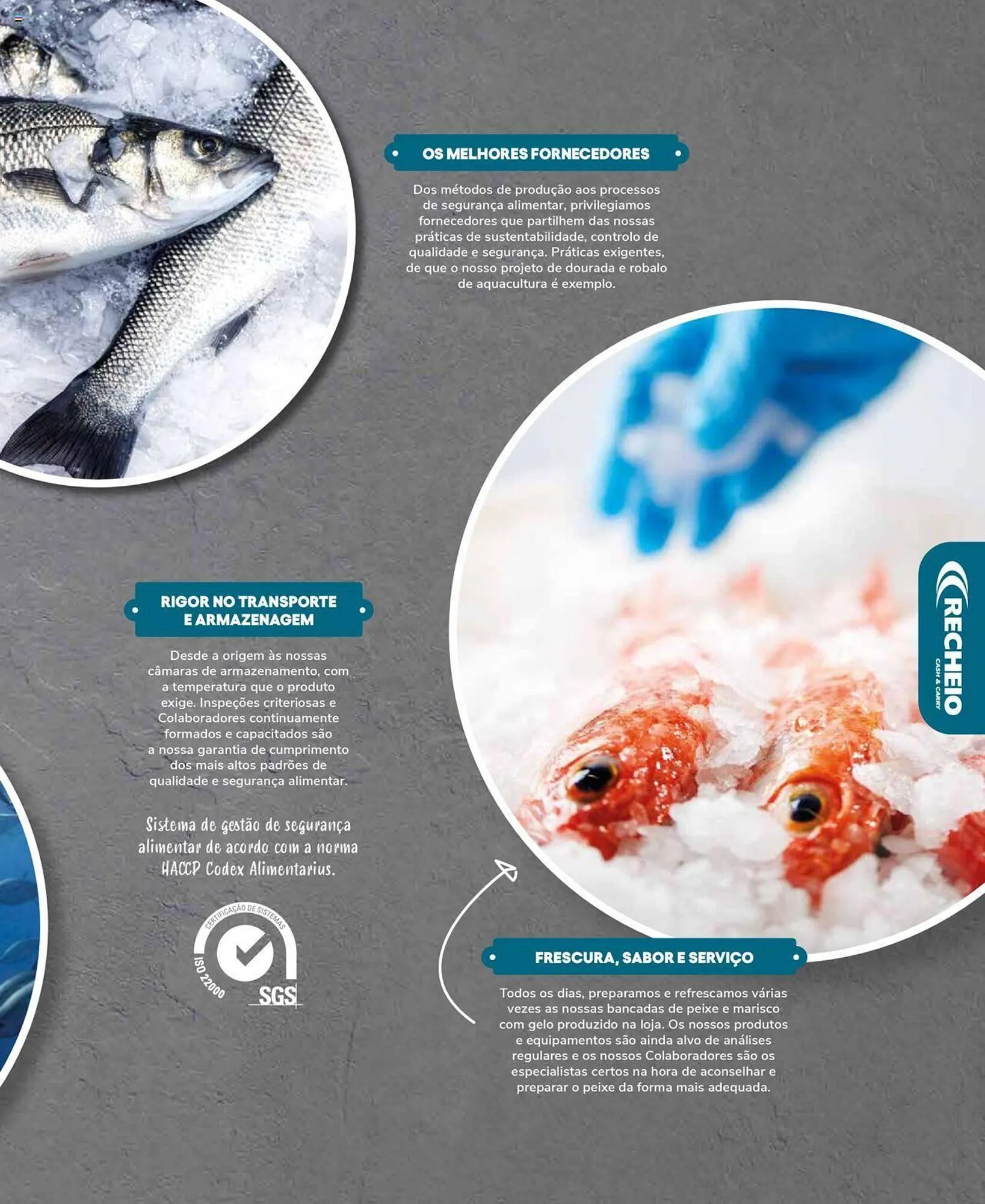 Folheto Folheto Recheio de 19 de setembro até 31 de dezembro 2025 - Pagina 5