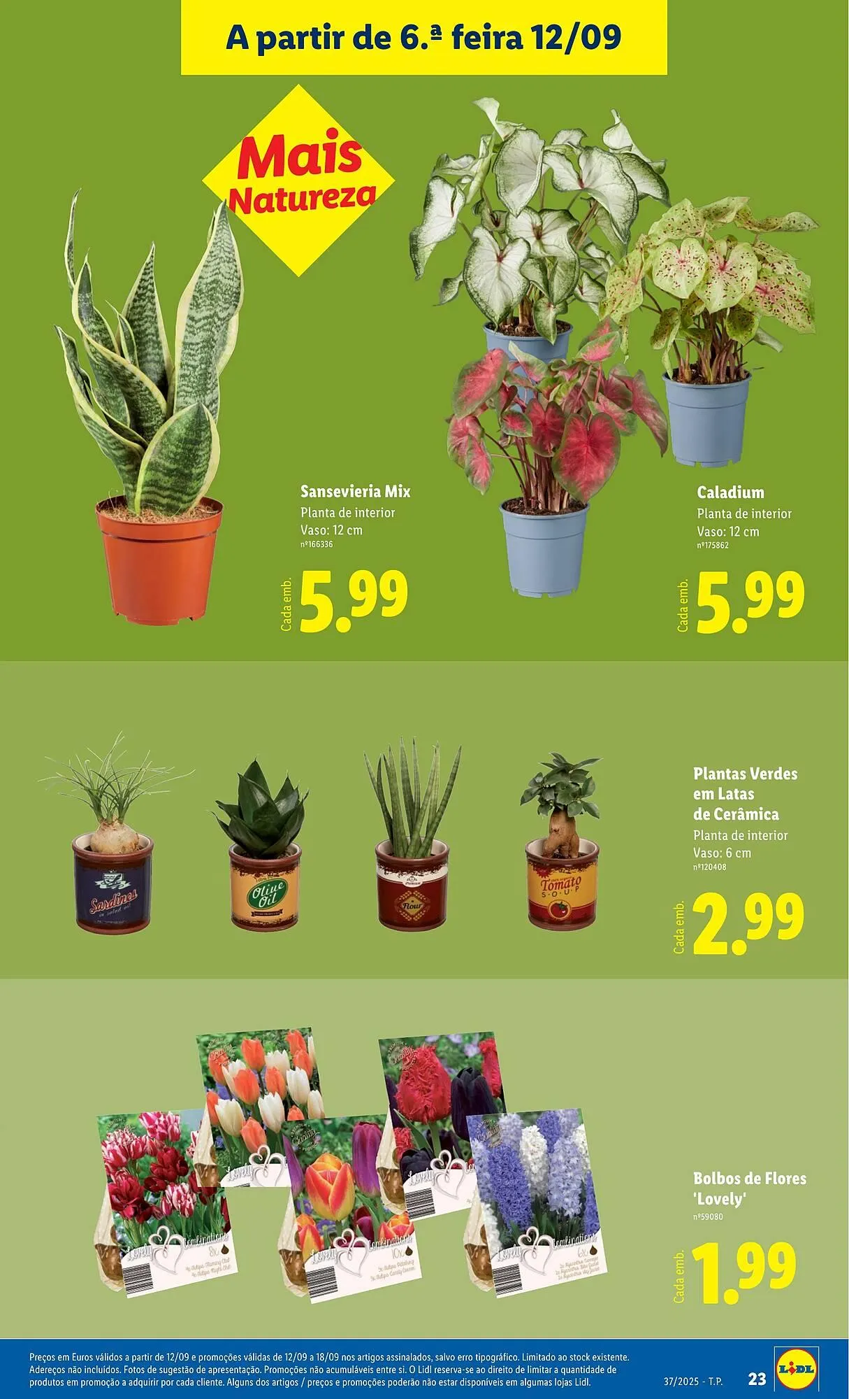 Folheto Folheto Lidl de 8 de setembro até 14 de setembro 2025 - Pagina 23