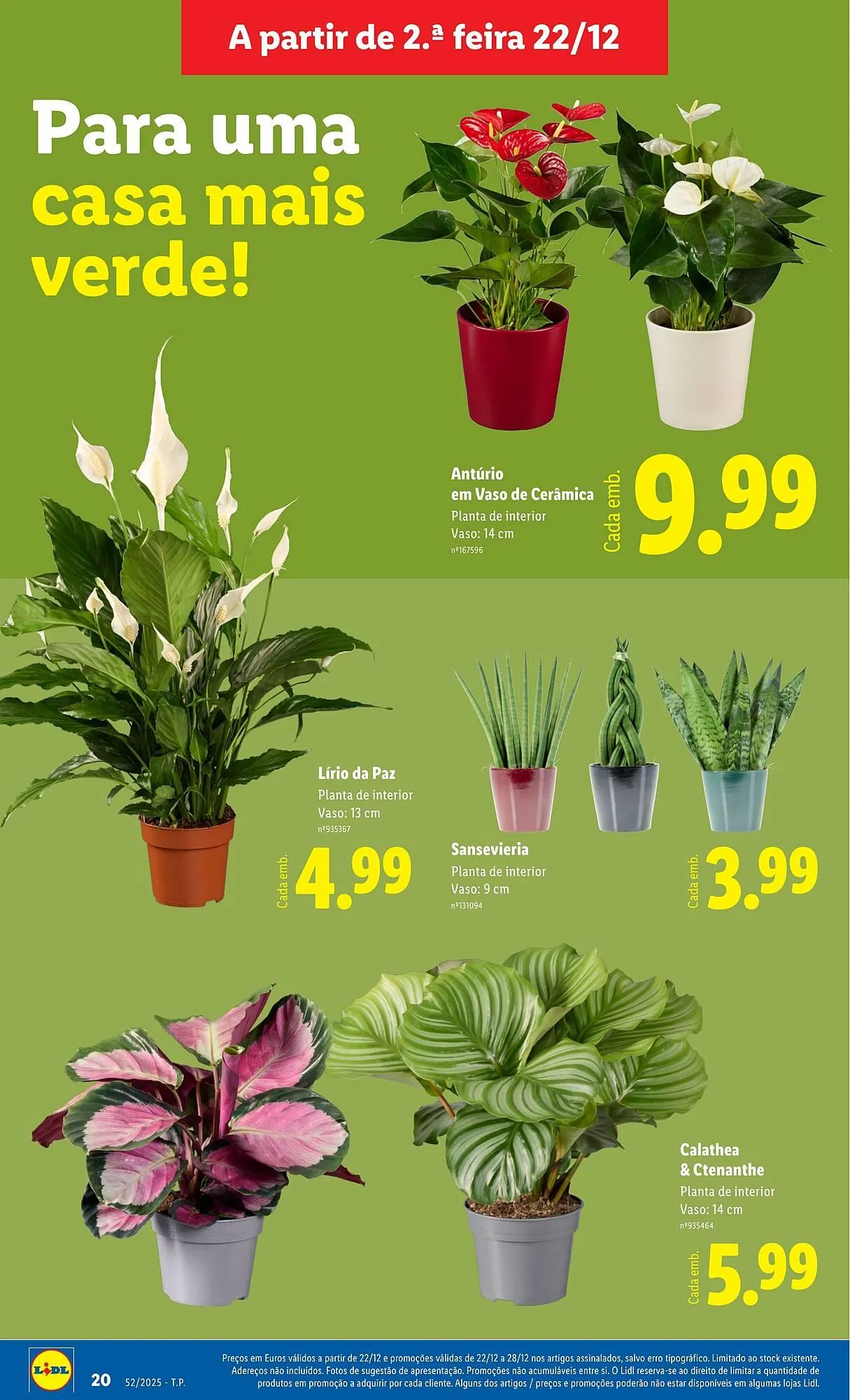 Folheto Folheto Lidl de 22 de dezembro até 28 de dezembro 2025 - Pagina 20