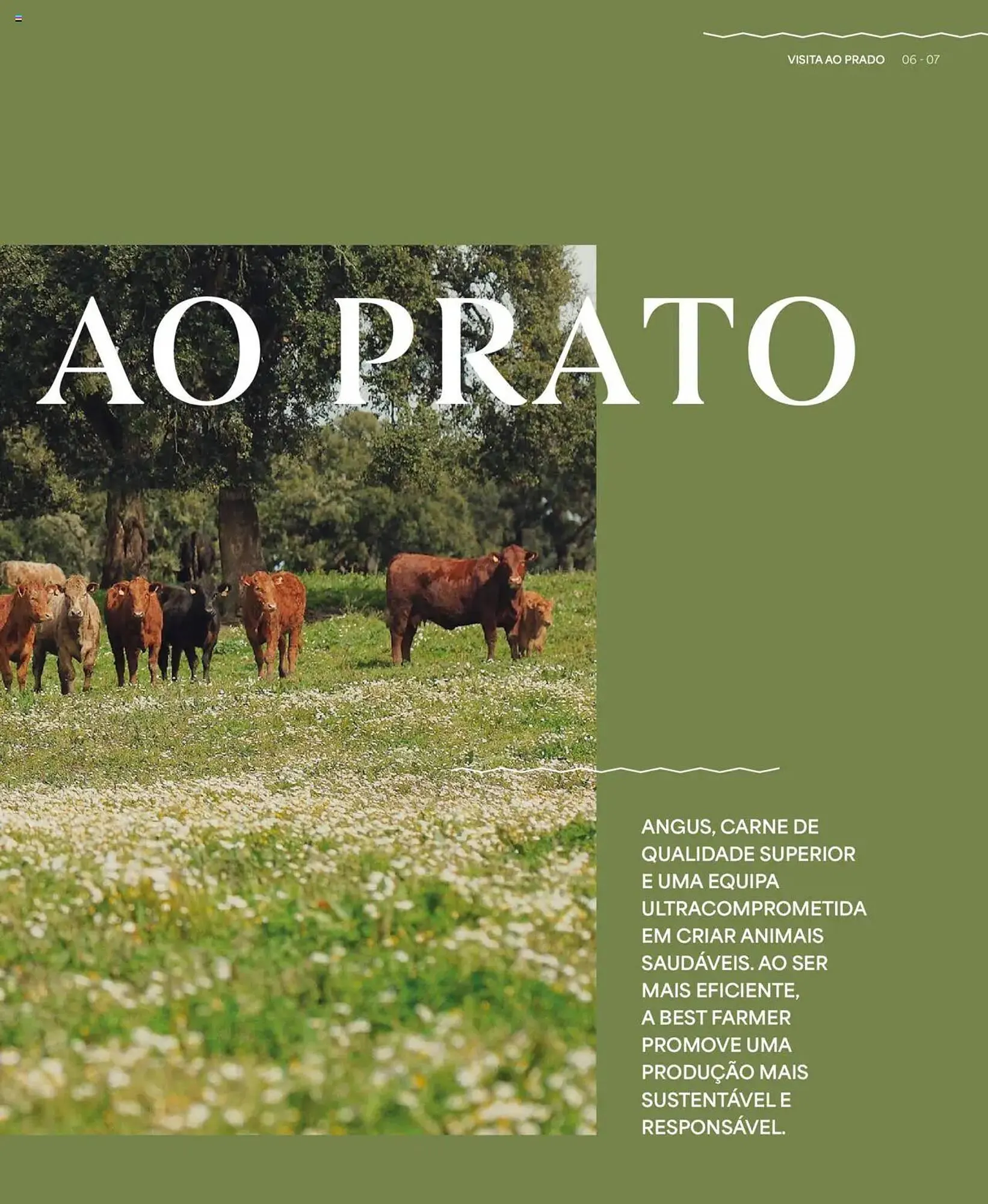 Folheto Folheto Recheio de 24 de abril até 31 de dezembro 2025 - Pagina 7