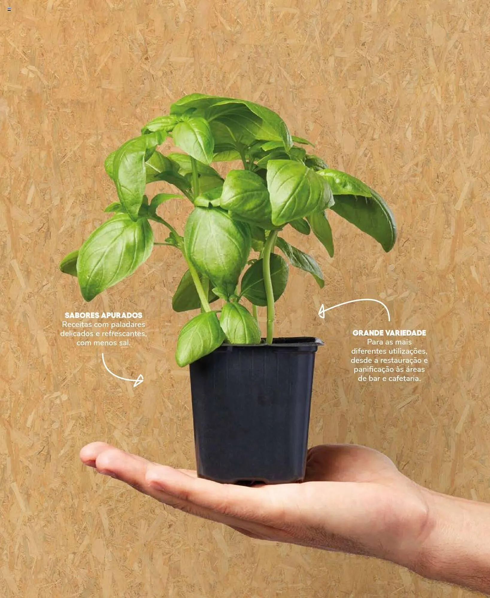 Folheto Folheto Recheio de 19 de setembro até 31 de dezembro 2025 - Pagina 57